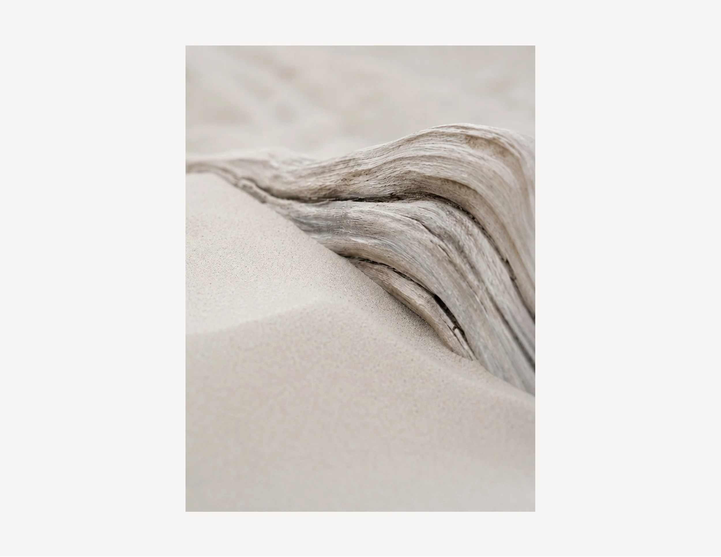 Dune Light No. 4-crop.jpg