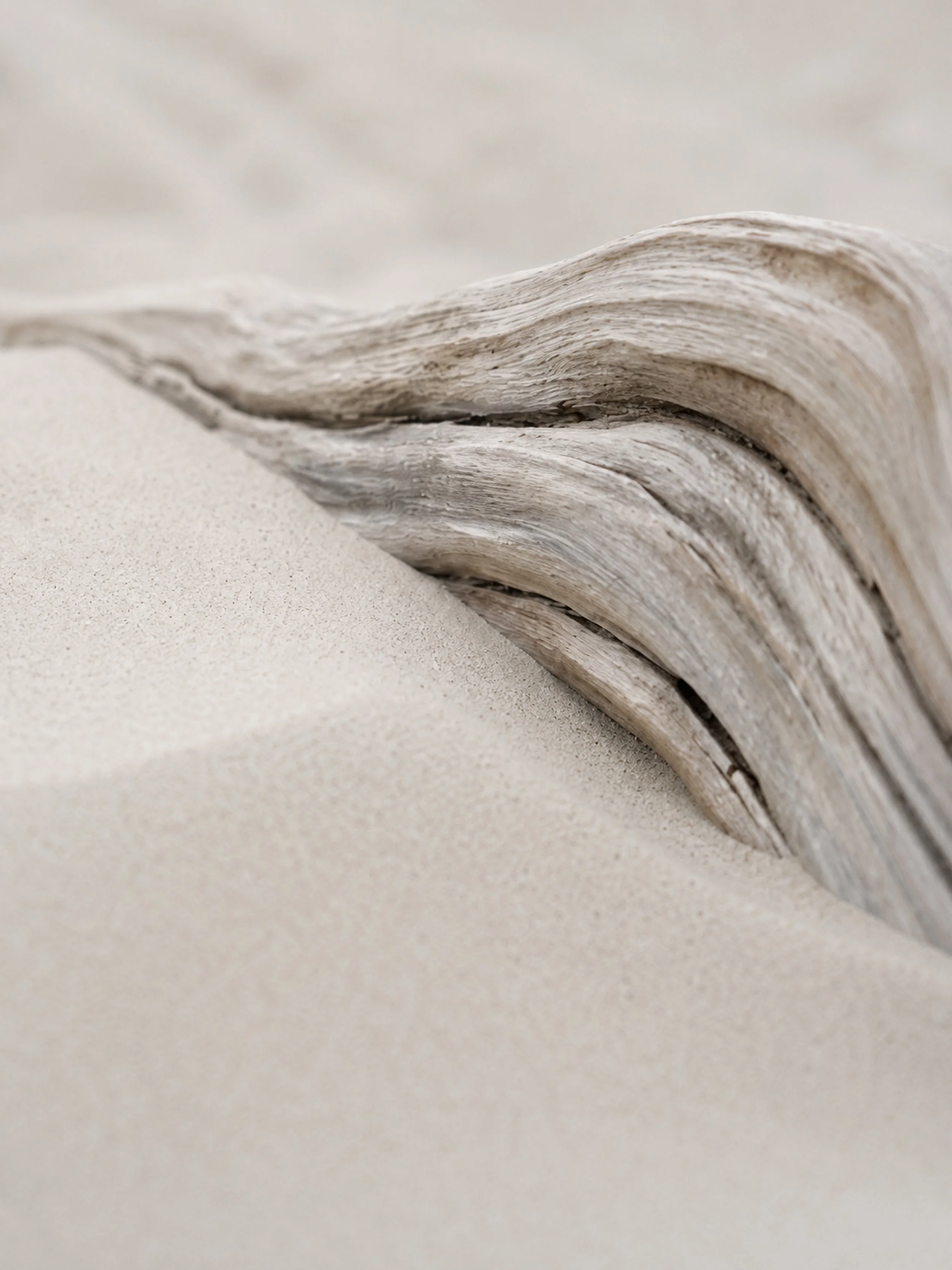 Drift Curve | Dune & Light No. 4