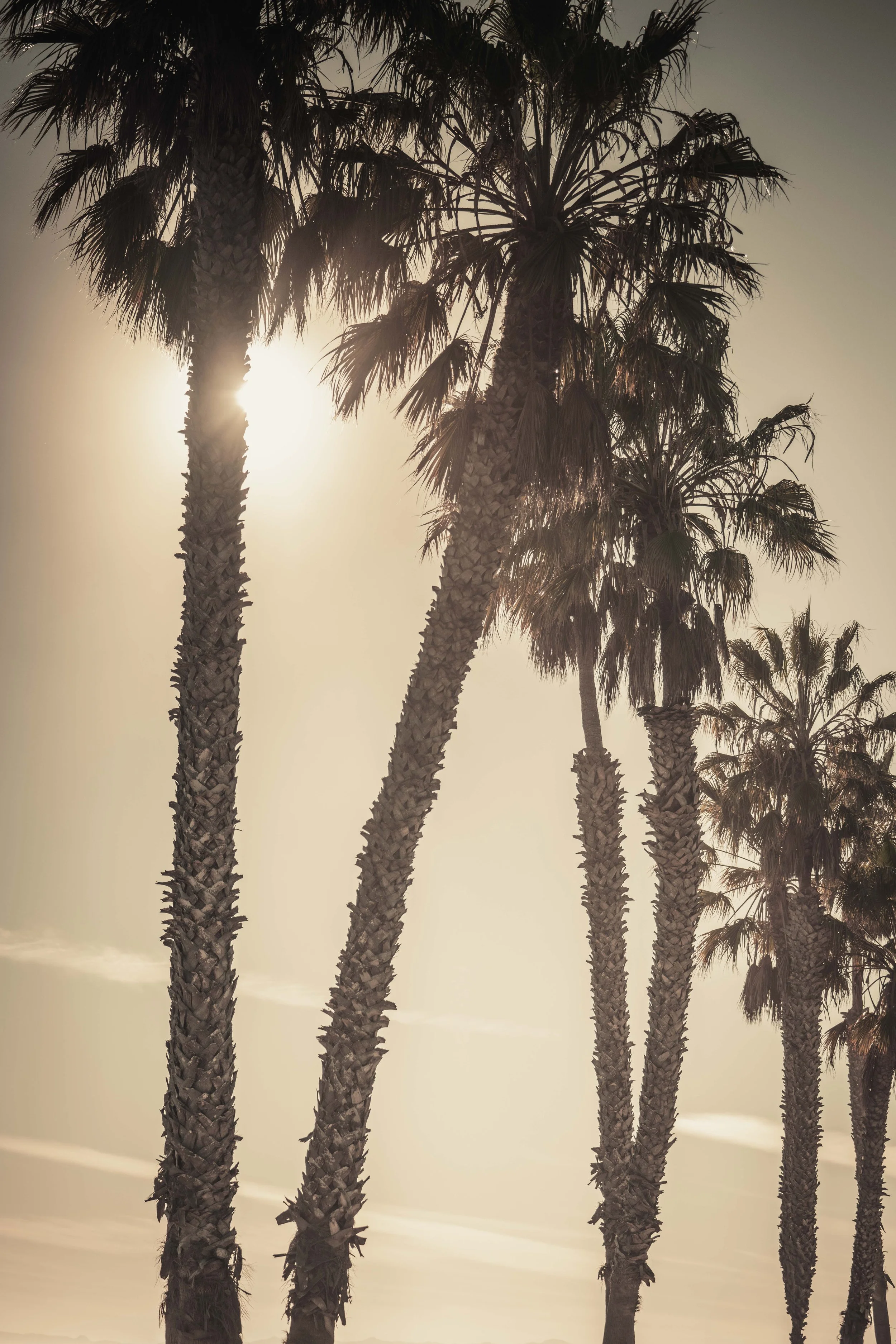 Such A Lovely Place | California Gold