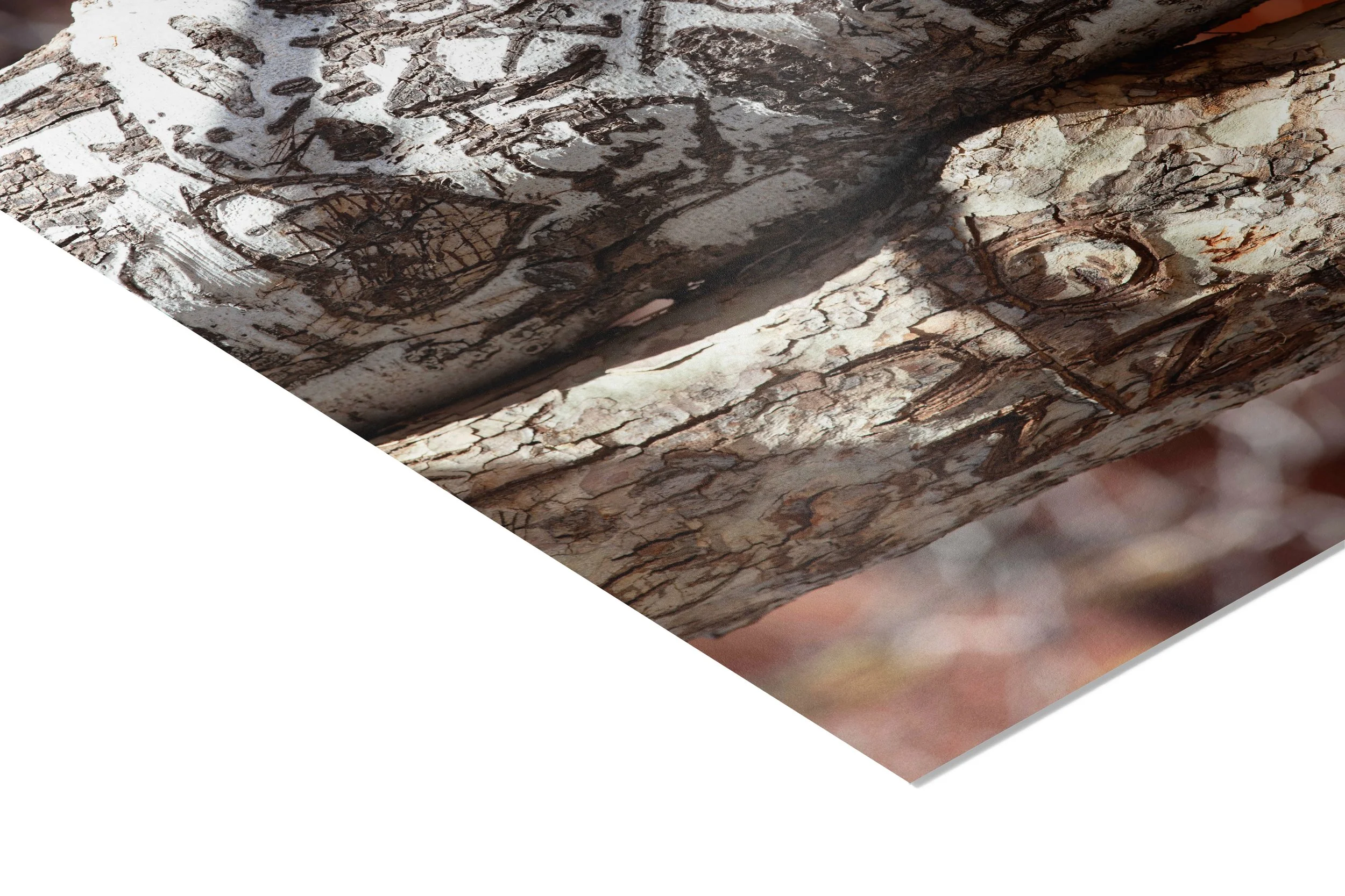 Love Tree Print 1.jpg