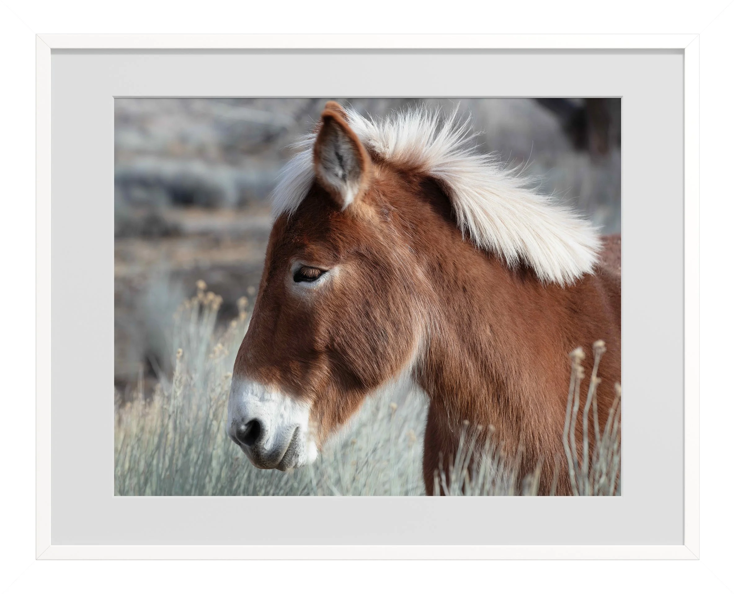 Mohawk White Frame.jpg