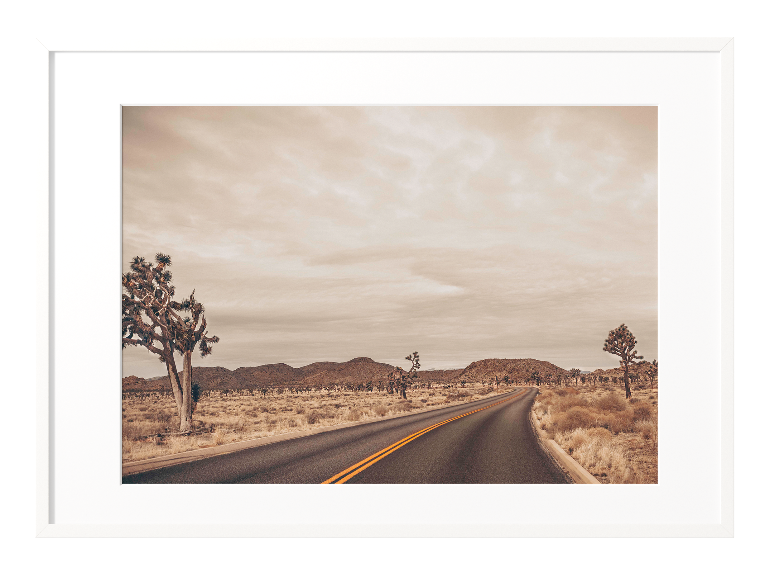 GoldDusk-white frame.png