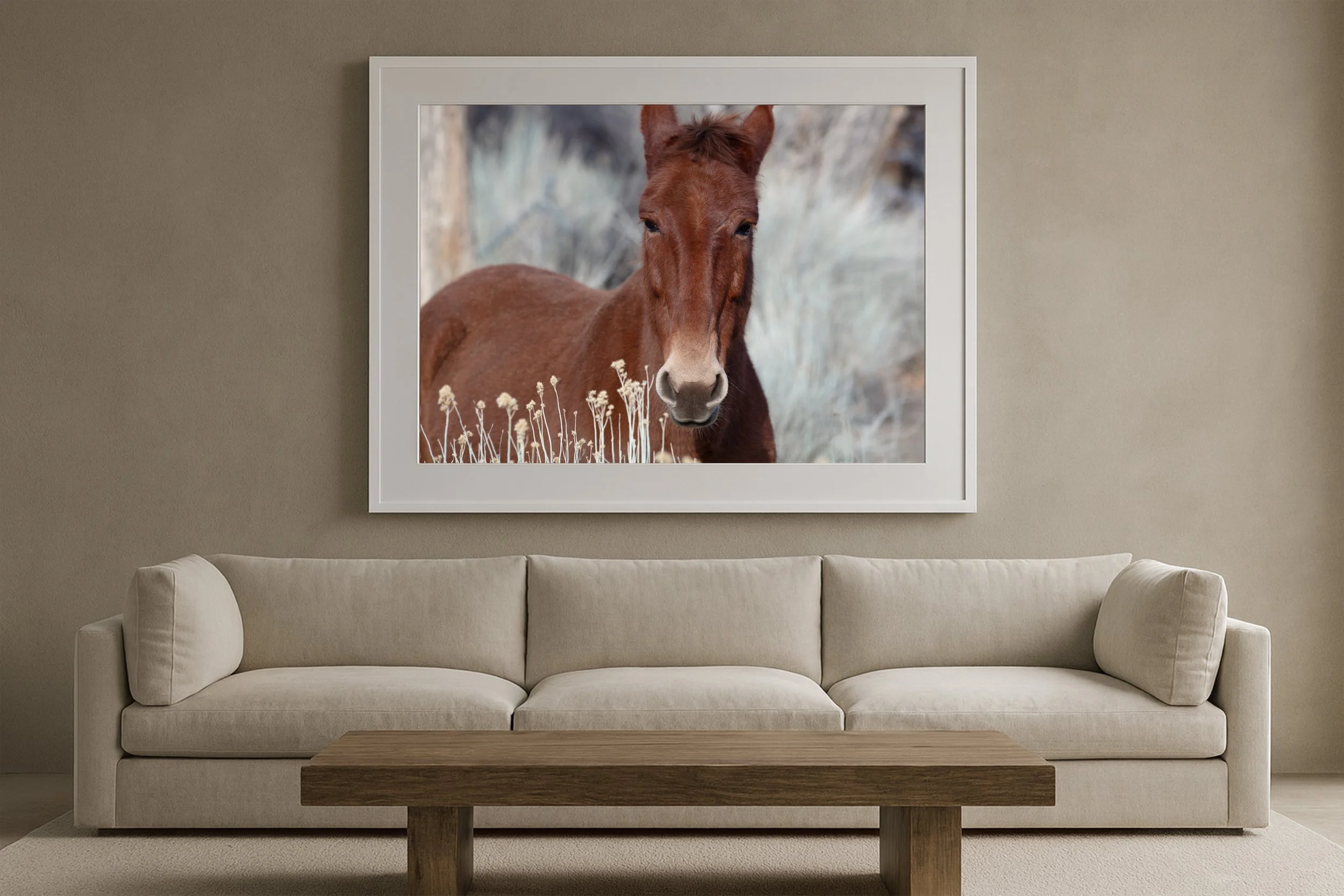 Toupee (36x24) | White-Frame Exclusive Edition
