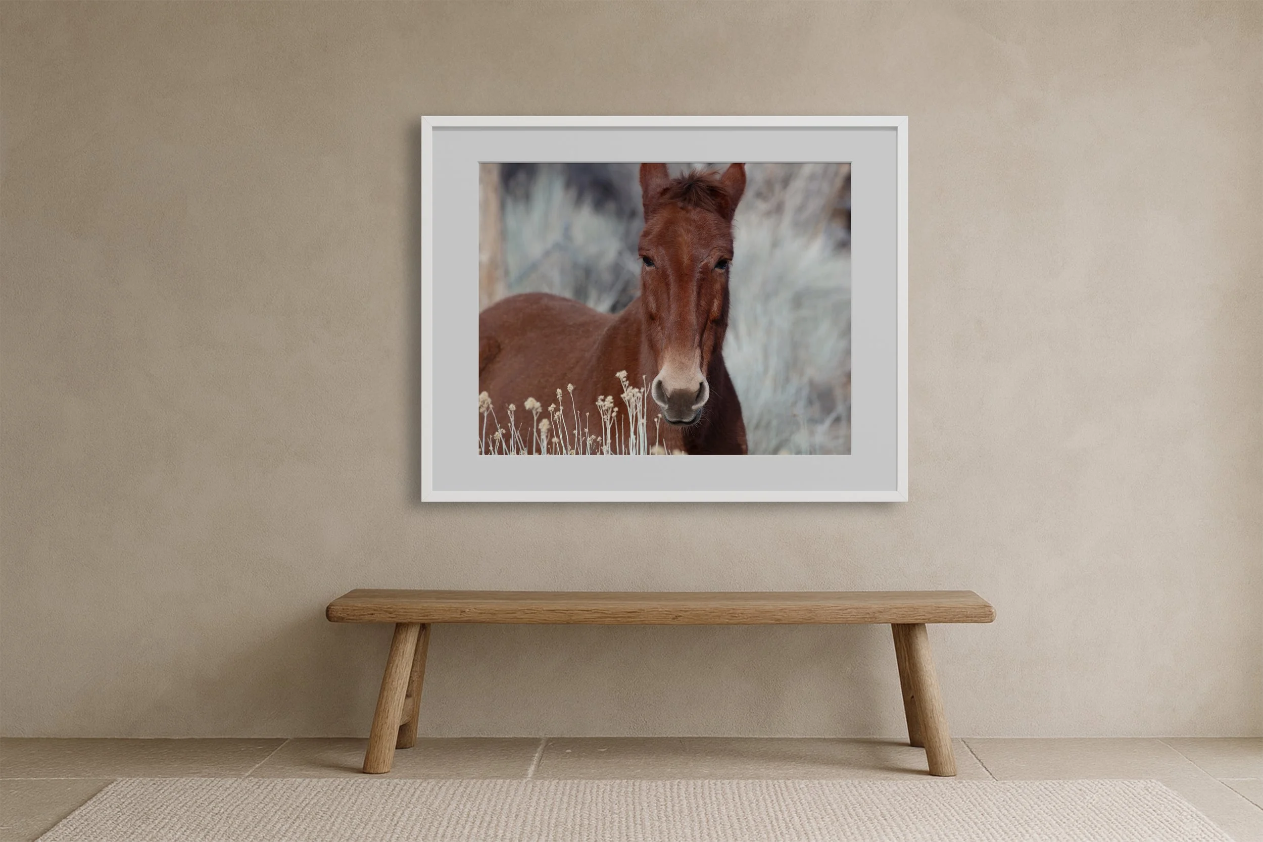 horse-desert-wall-art-cognac-study.jpg
