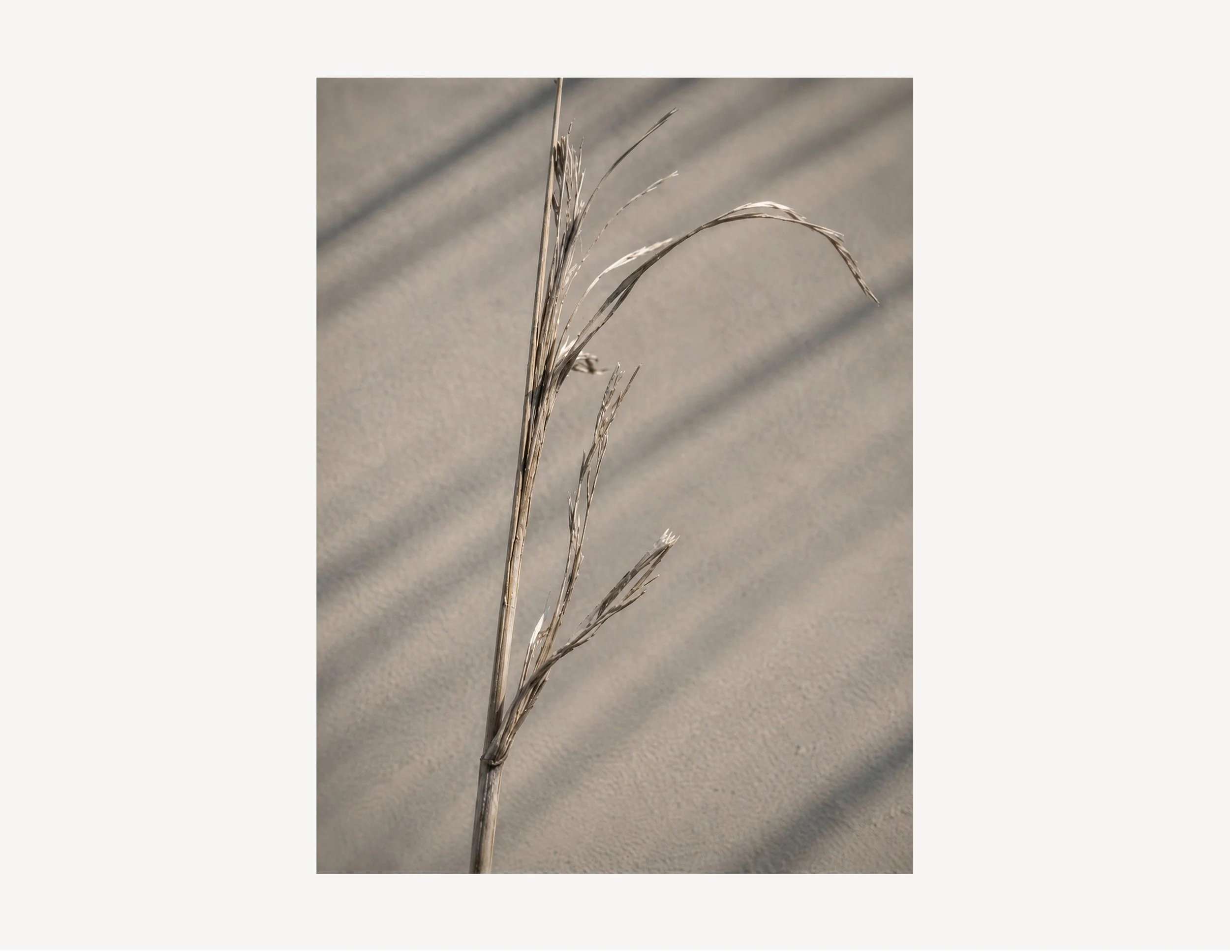 Driftline-002_crop.jpg