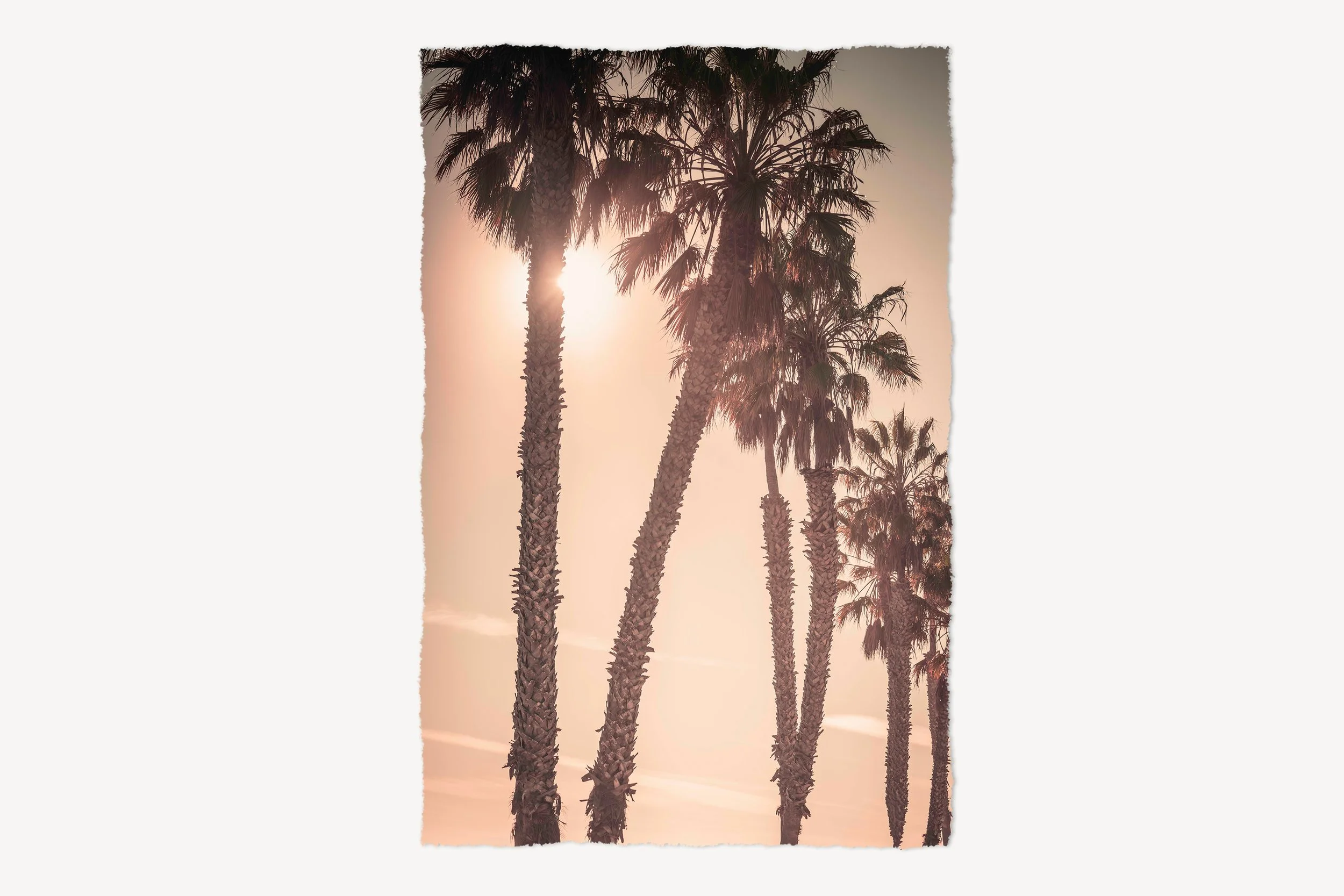 rag-Such A Lovely Place-crop.jpg