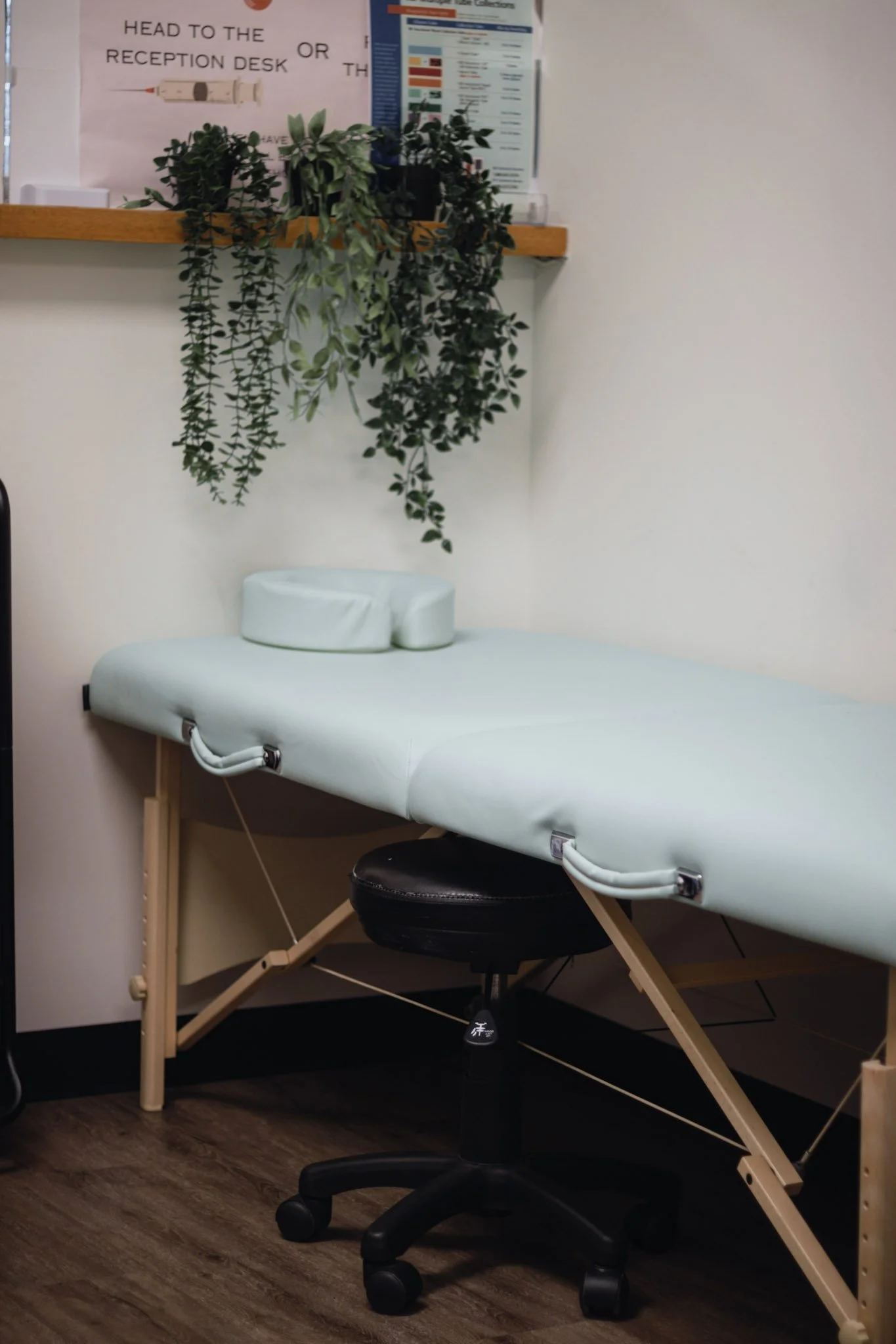 A massage or examination table with a mint green cover and a matching headrest positioned in a medical or therapy room. Above, a wooden shelf holds green potted plants, and there are informational posters on the wall.