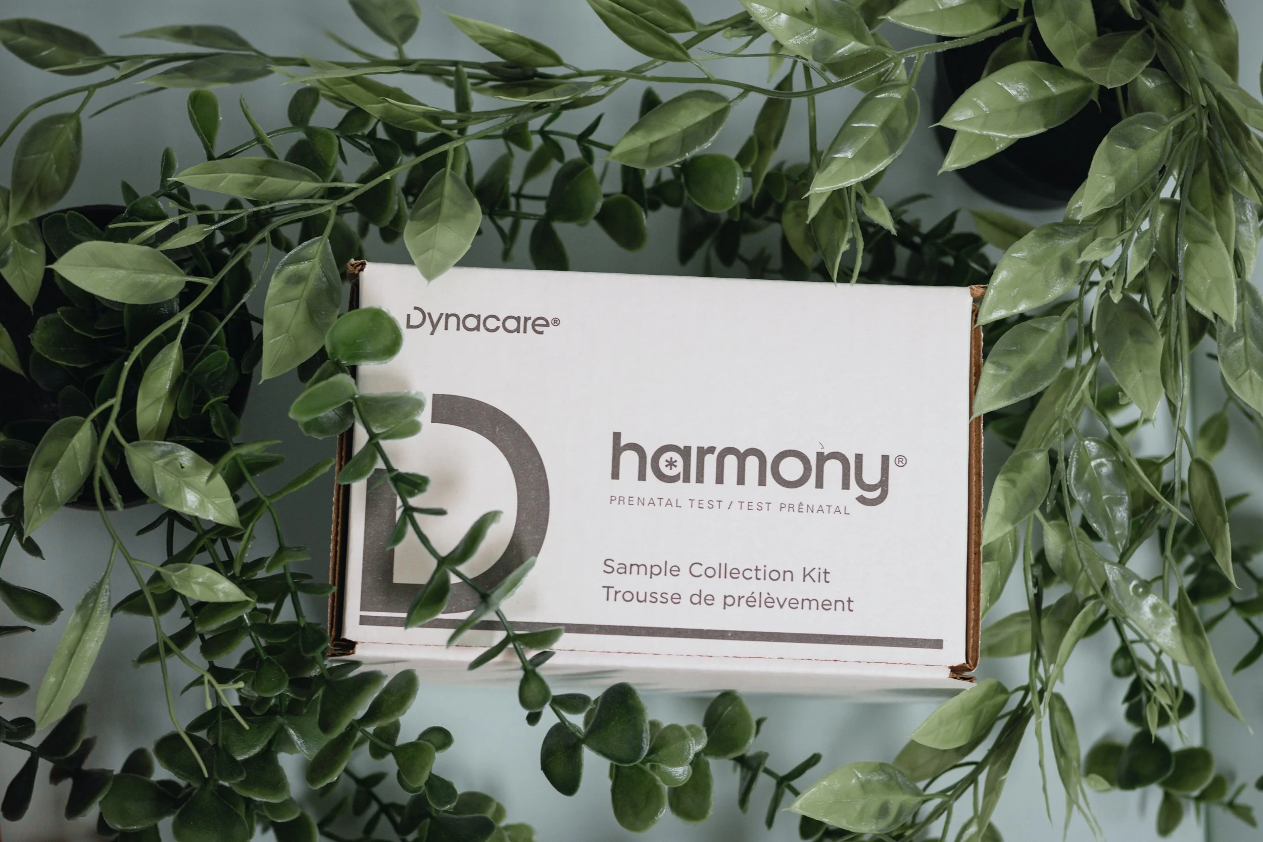 Blood sample in a test tube with a red cap, placed on a medical form titled 'Newfoundland Labrador Outpatient Specimen Collection Requisition', surrounded by green plant leaves.