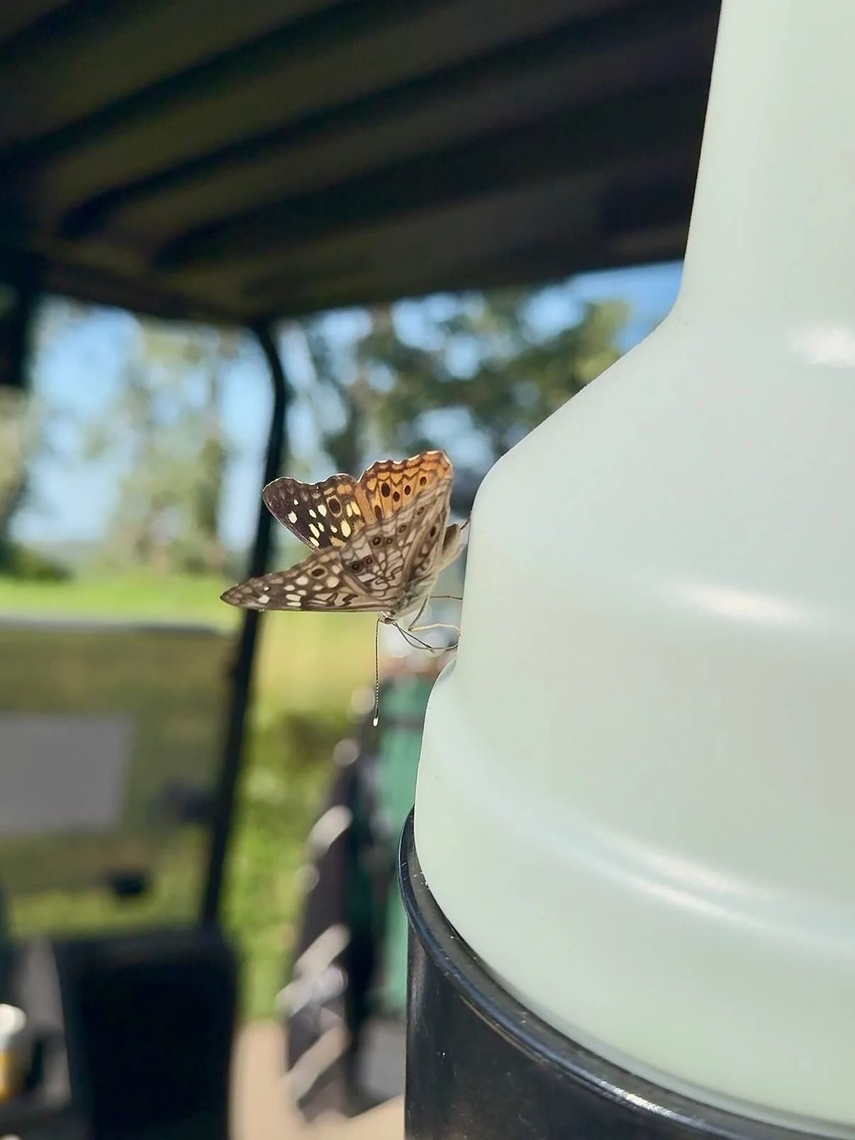 10/10 would recommend @quarryoaksgolfclub ⛳️🏌🏻&zwj;♀️#dynamitetee #nebraskagolf