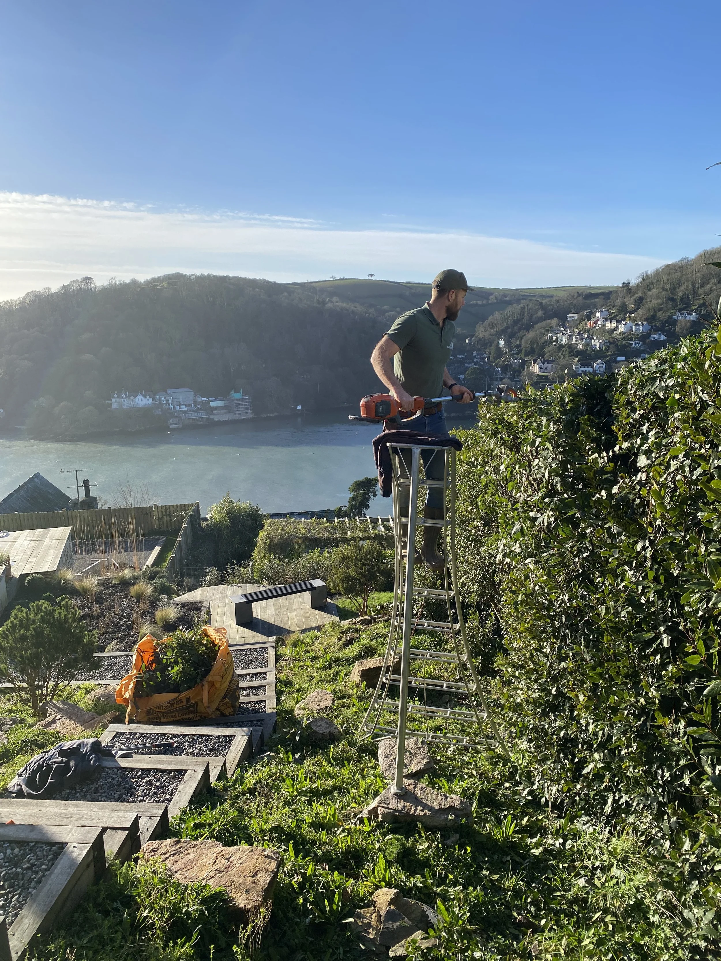 Paul standing on a ladder trimming a large bush with a hedge trimmer, overlooking a scenic landscape with water and hills in the background on a sunny day.