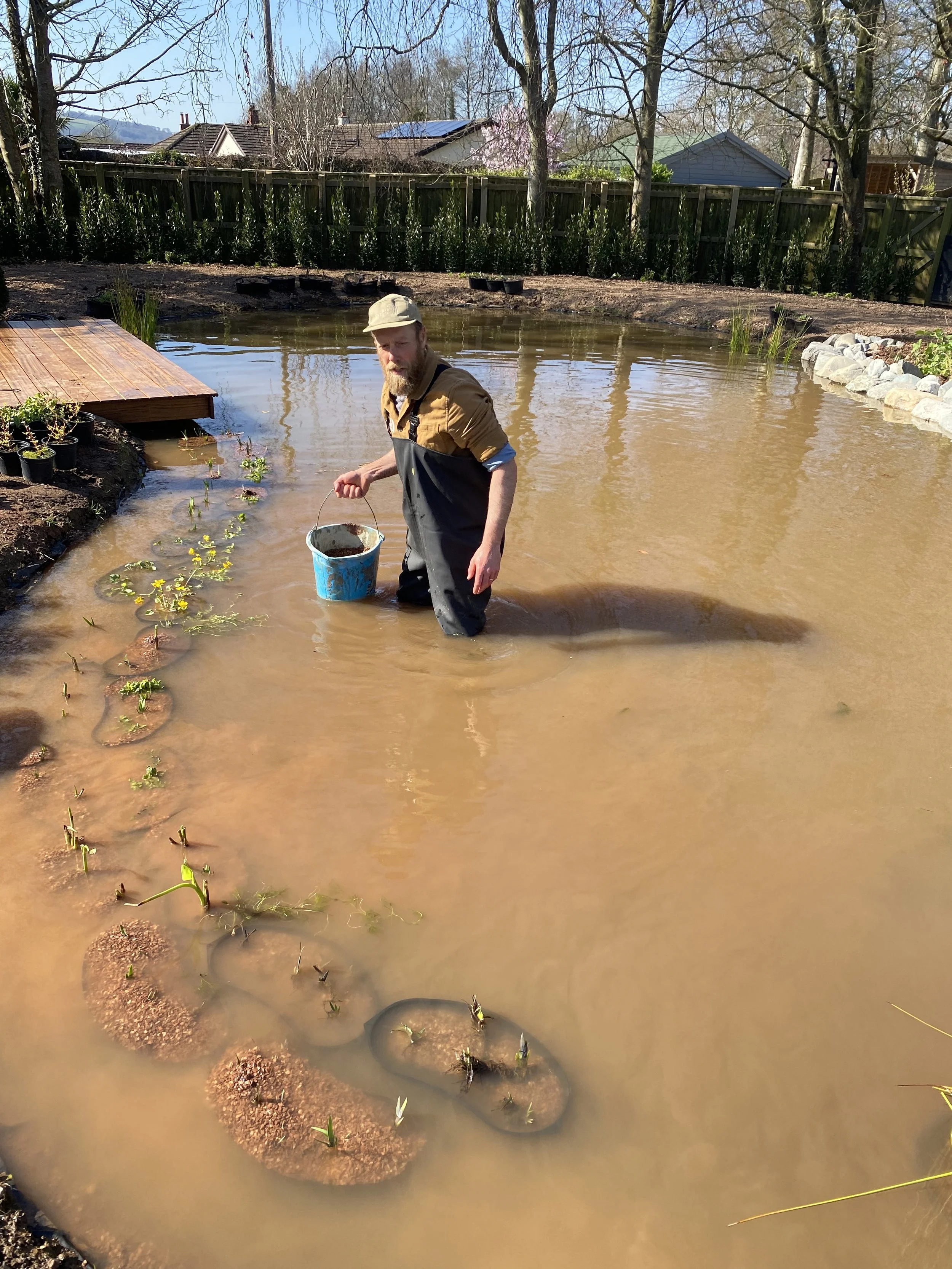 Paul standing in a pond, holding a bucket, with plants growing in the foreground and trees, houses, and a wooden fence in the background.