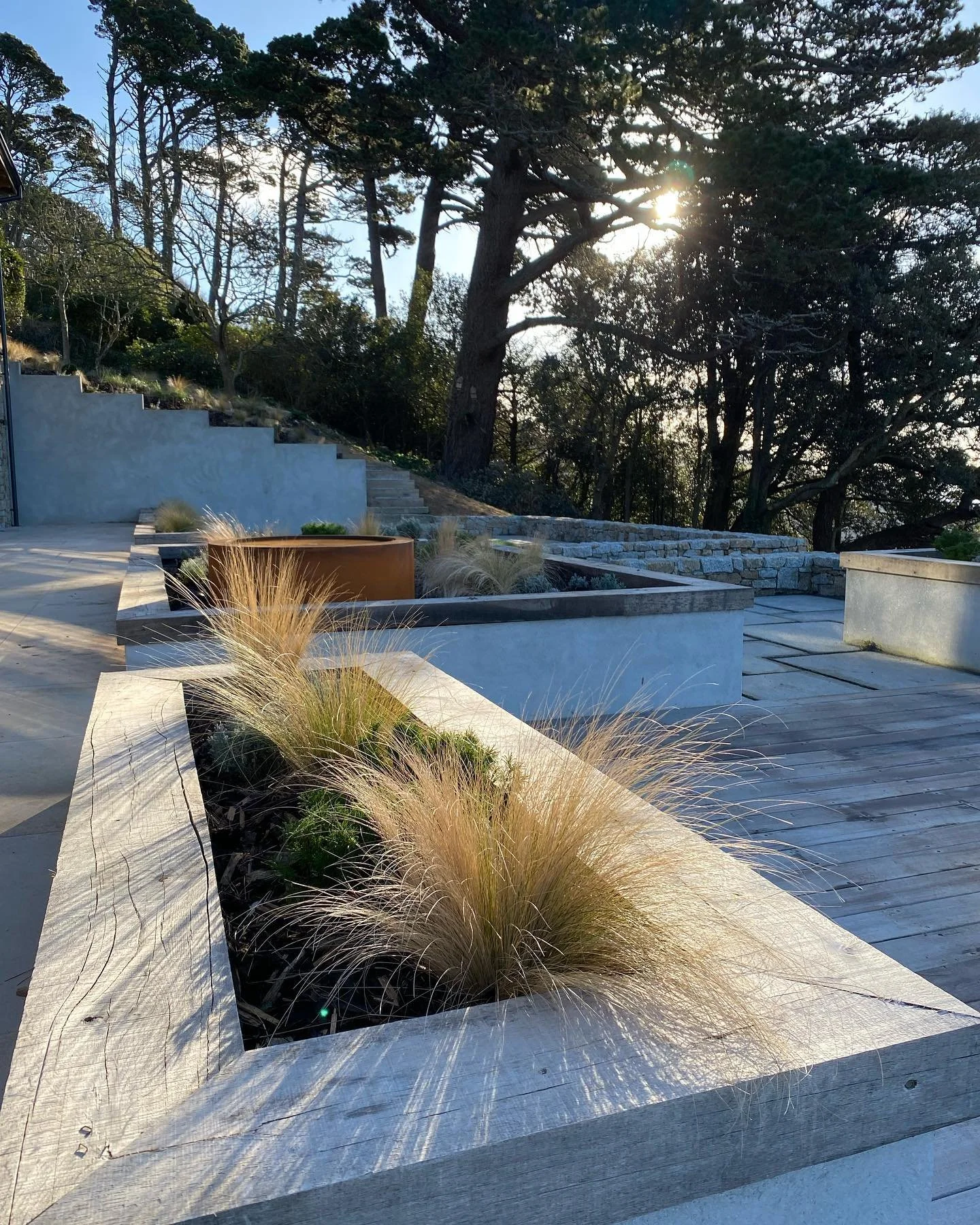 A modern outdoor patio with timber planters containing grasses, surrounded by a wooden deck. Tall trees and sunlight are visible in the background.