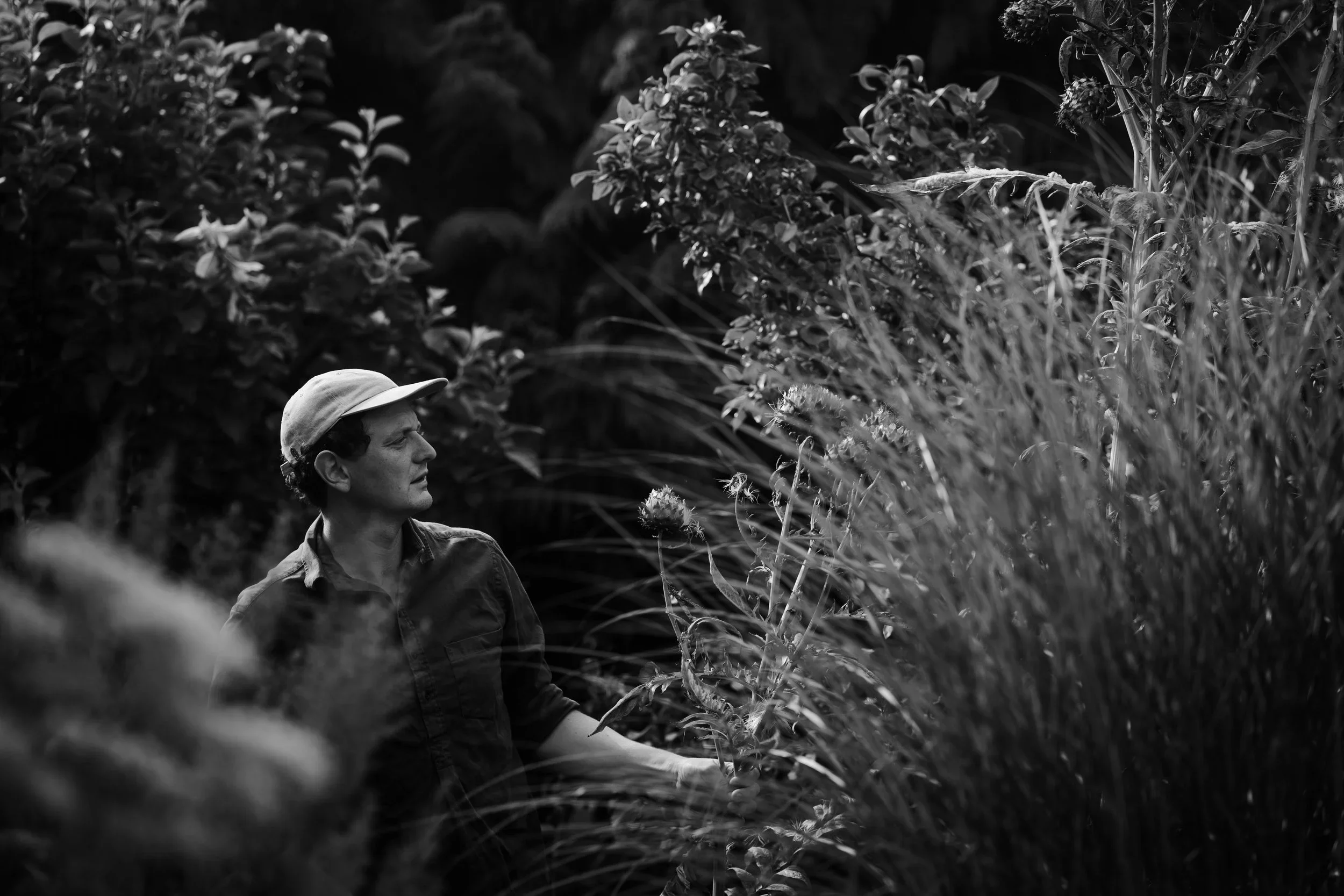 Jack examining plants in a garden, surrounded by tall grasses and dense foliage, captured in black and white.