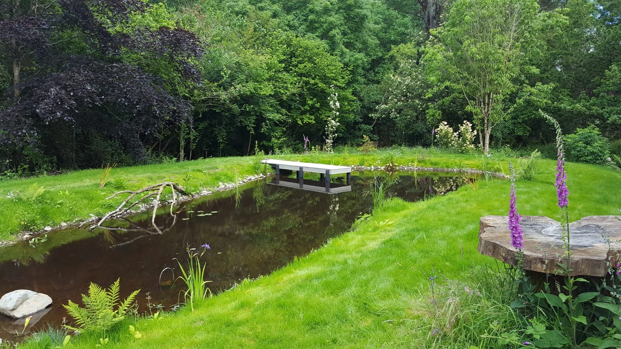 A serene backyard scene featuring a small pond with a jetty, surrounded by green grass, trees, and flowering plants.