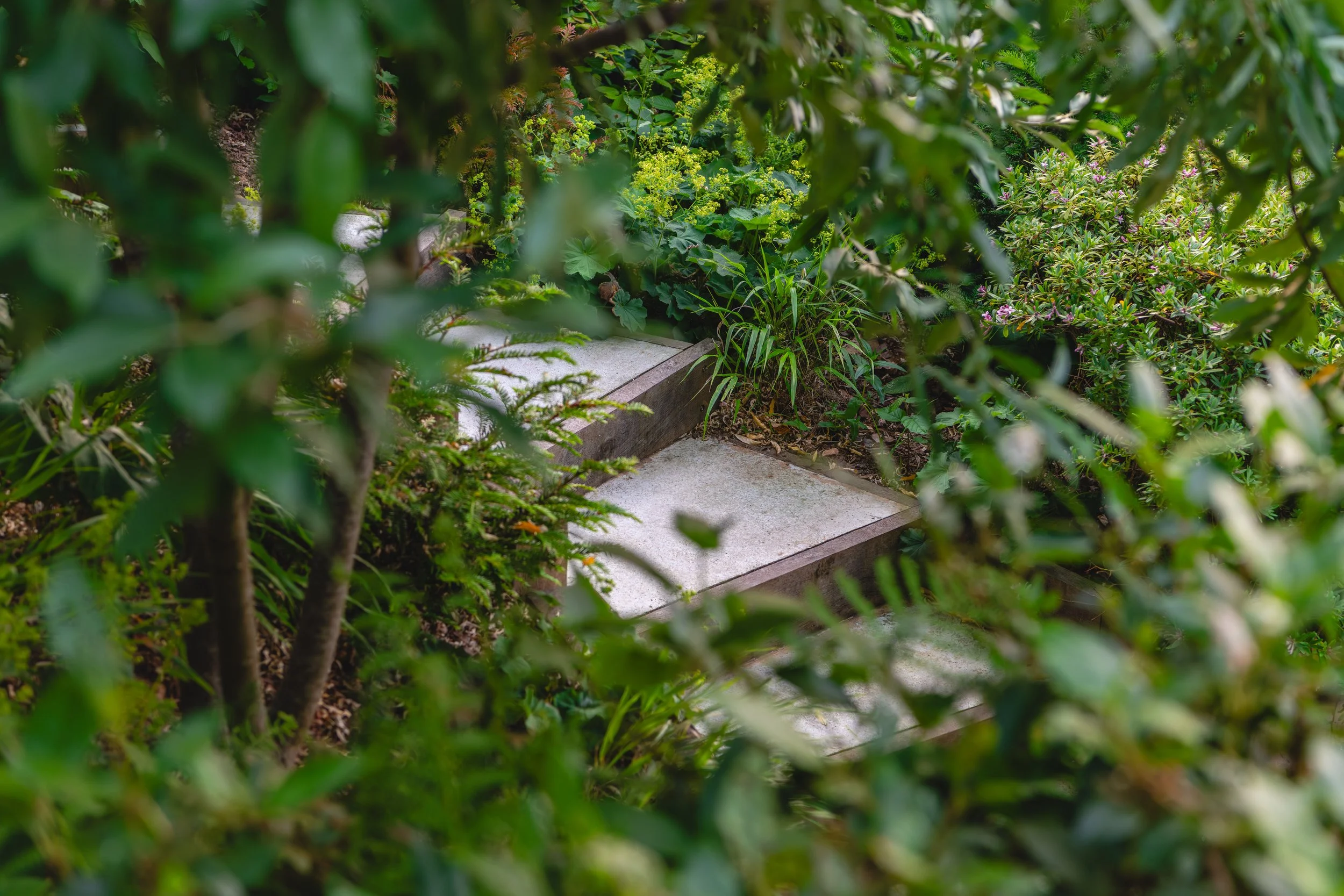 Garden steps surrounded by lush green bushes and plants in a garden.