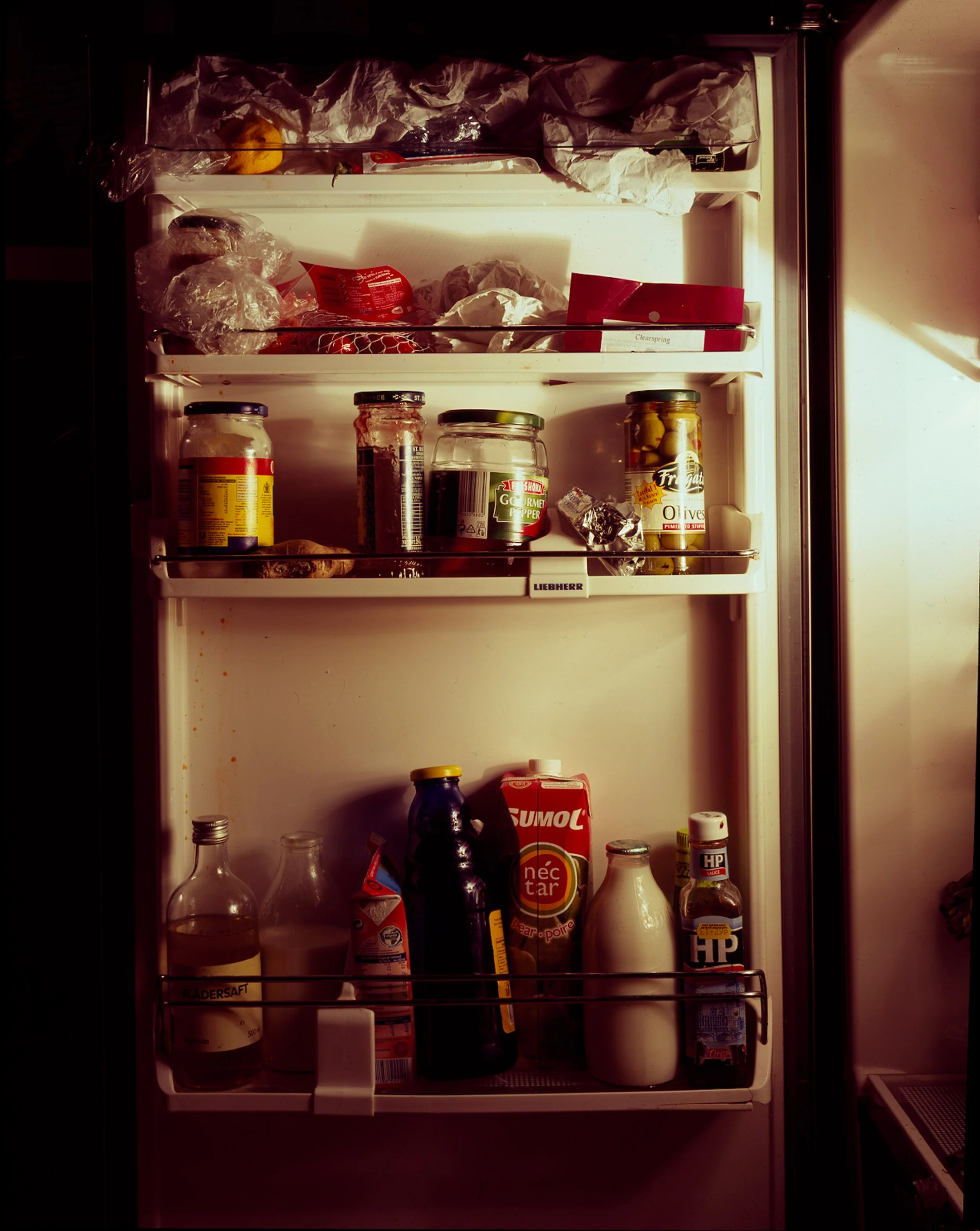 Fridge Life . Personal