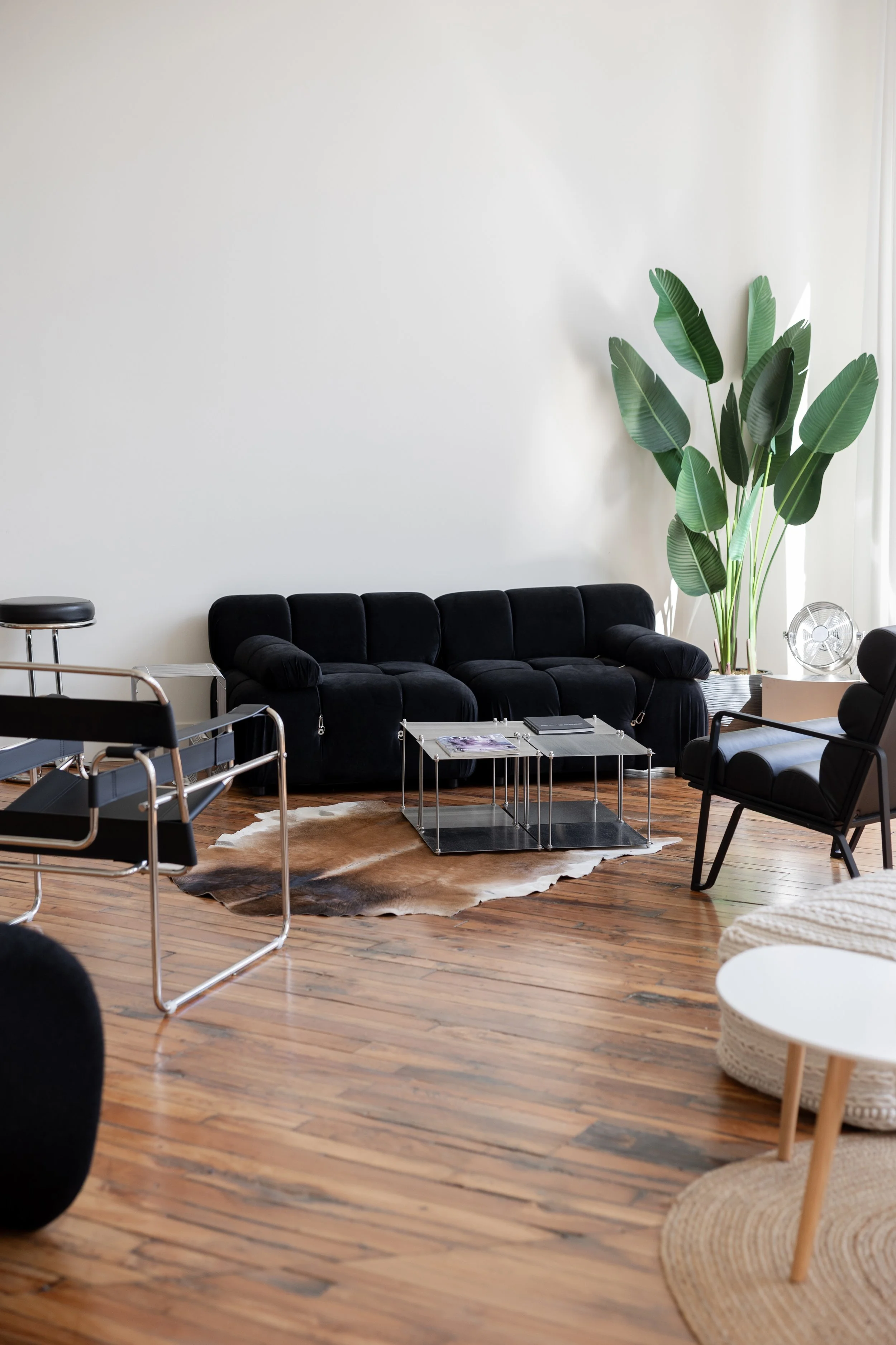 Kitchener Waterloo Photography Studio - MOVA Creative Cambridge-44.jpg