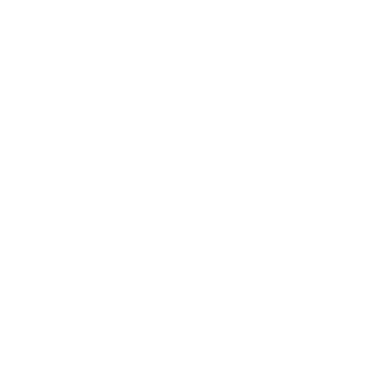 Icon of a medical emergency kit with a plus sign, labeled 'Emergency'.