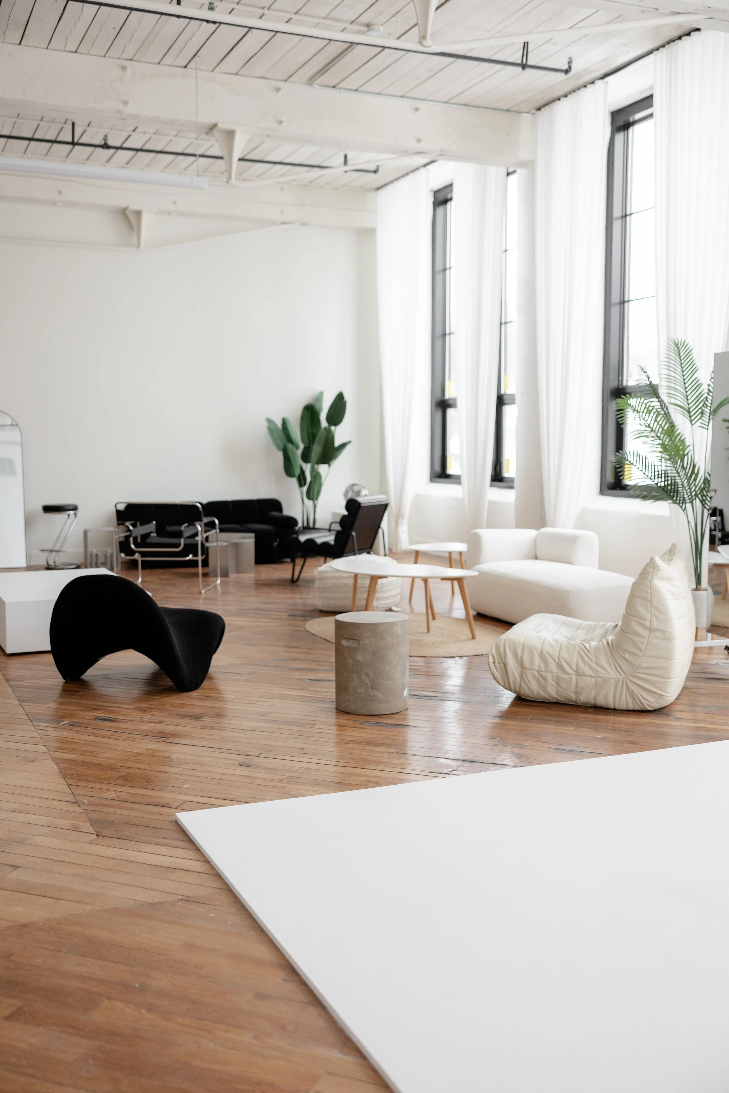 Bright, modern living room with white walls, large windows with sheer curtains, and hardwood floors. Contains black and white furniture, potted plants, and minimalist decor.
