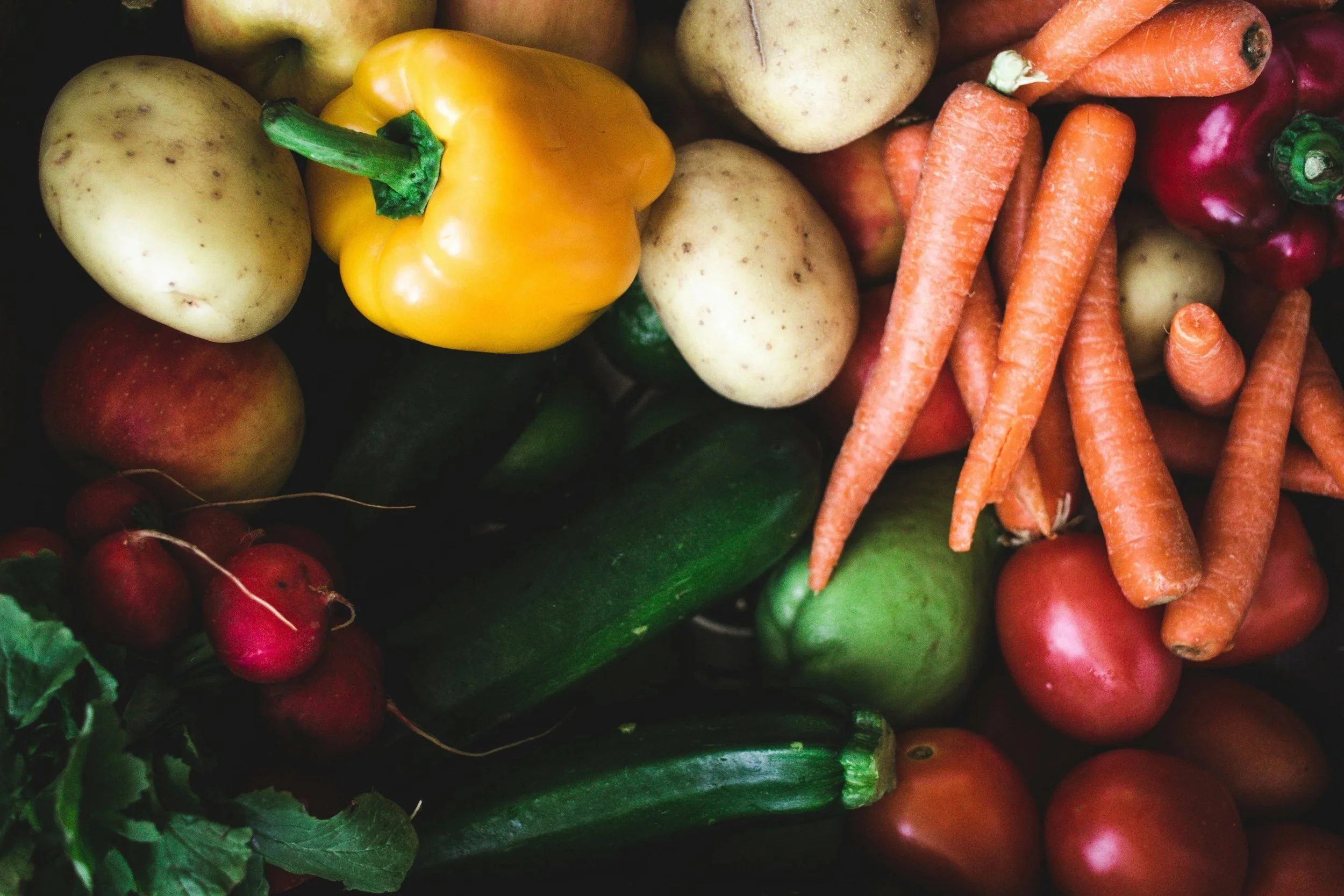 Gut Health &amp; Immunity - What can I eat to support my immune system?