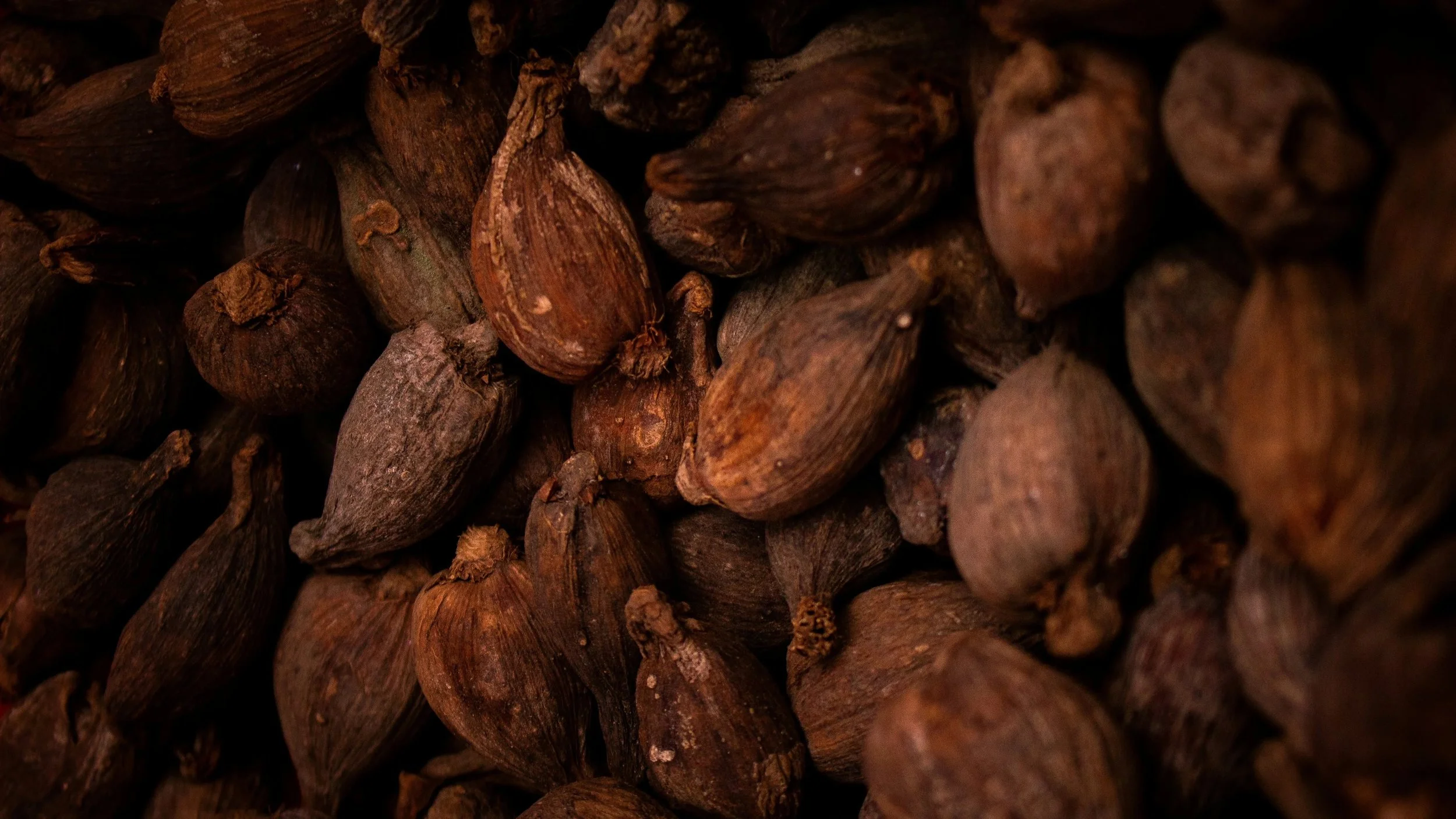 Cacao Ceremonies: What are they?