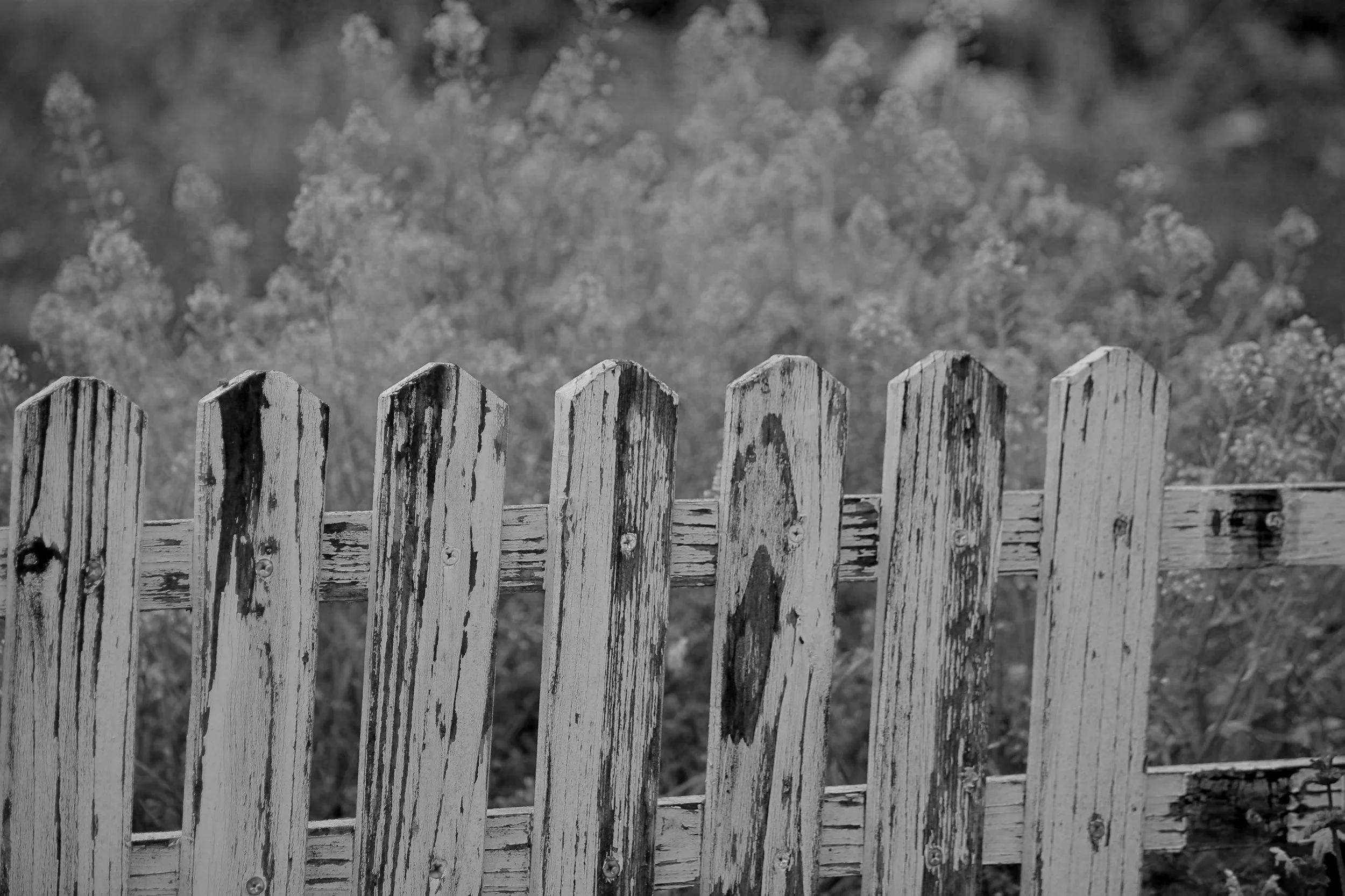 We All Know a Sarah: How High-Deductible Health Plans Are Reshaping Healthcare