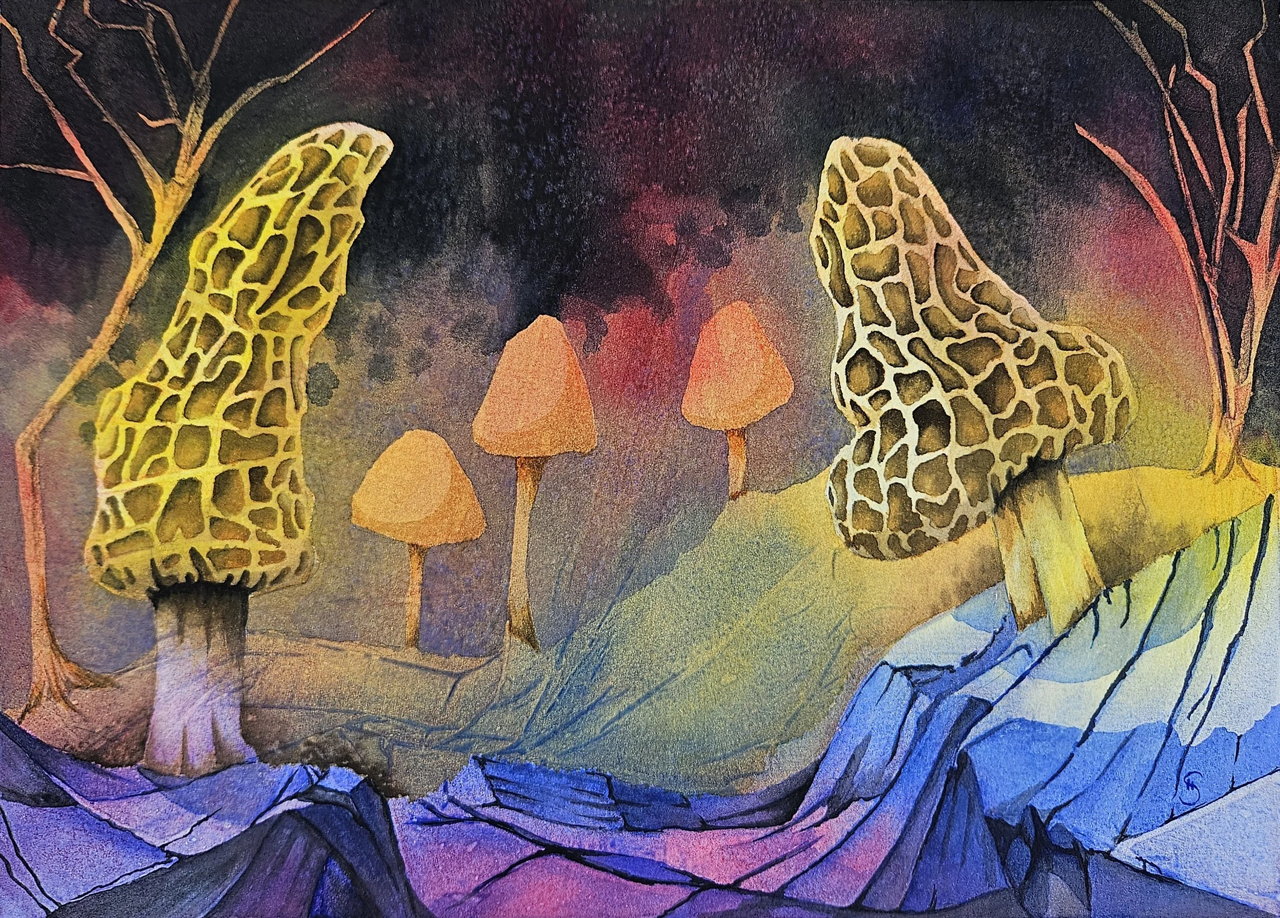 The Morels