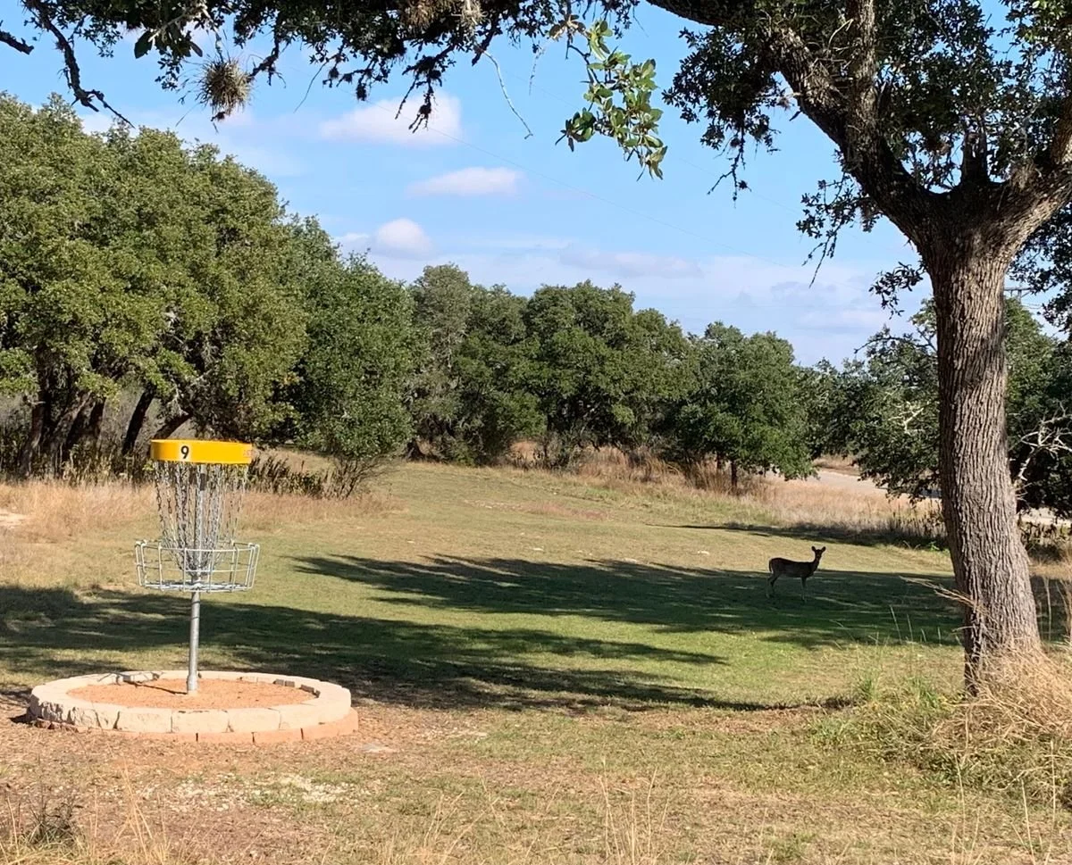 golf2.jpg
