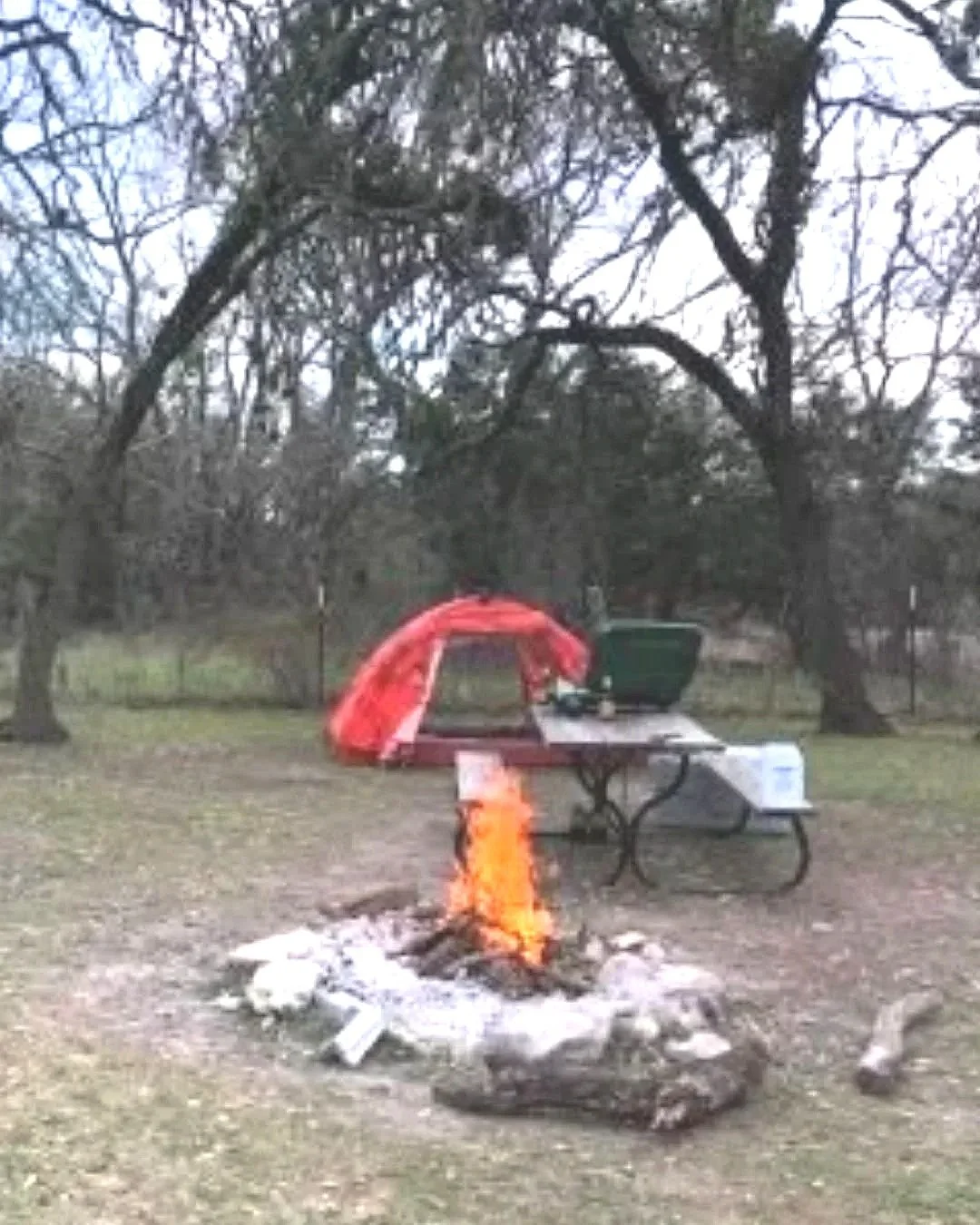 A campfire with flames and white ash surrounding it, a red canopy over a picnic table, a green pot and cooler on the table, and a white box on the ground, in a park with trees in the background.