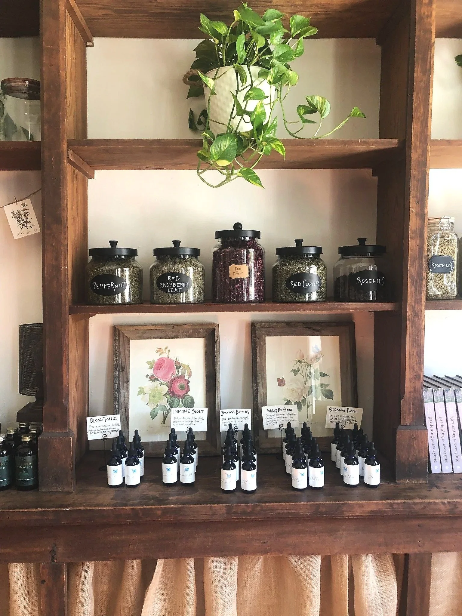 Wooden shelves with jars labeled peppermint, raspberry leaf, red rose, red clover, and rosehips, along with framed floral artwork and small bottles of tinctures.