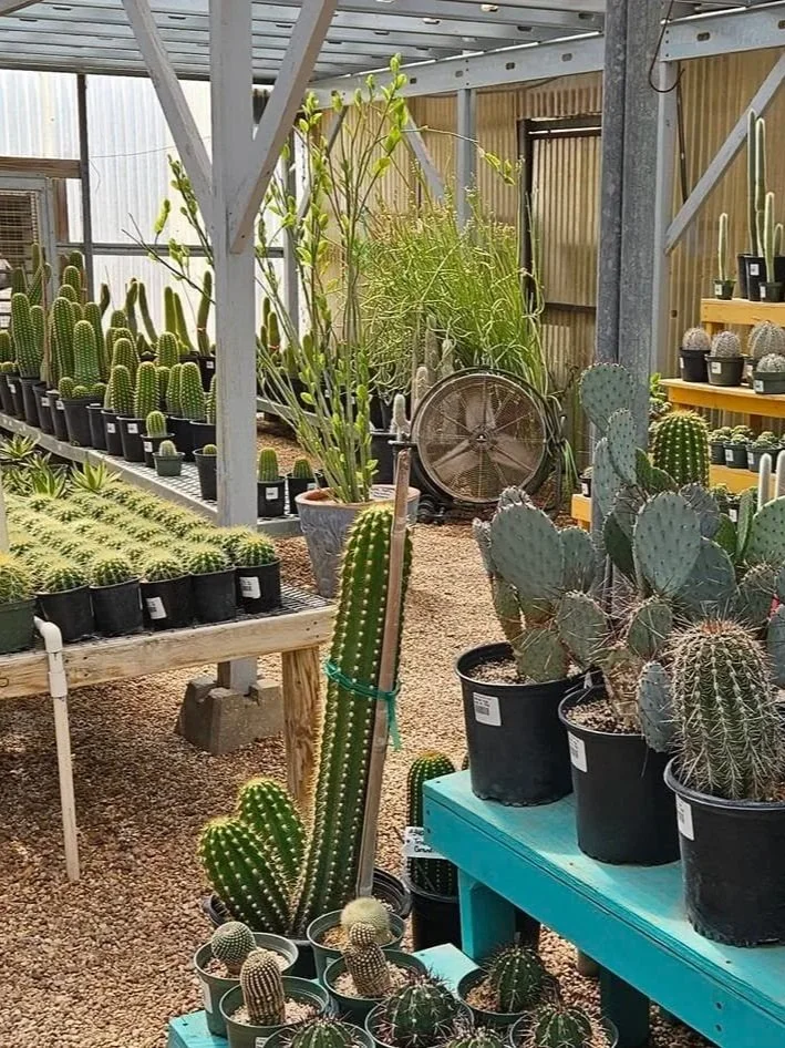 RA Nursery in Comfort, Texas.