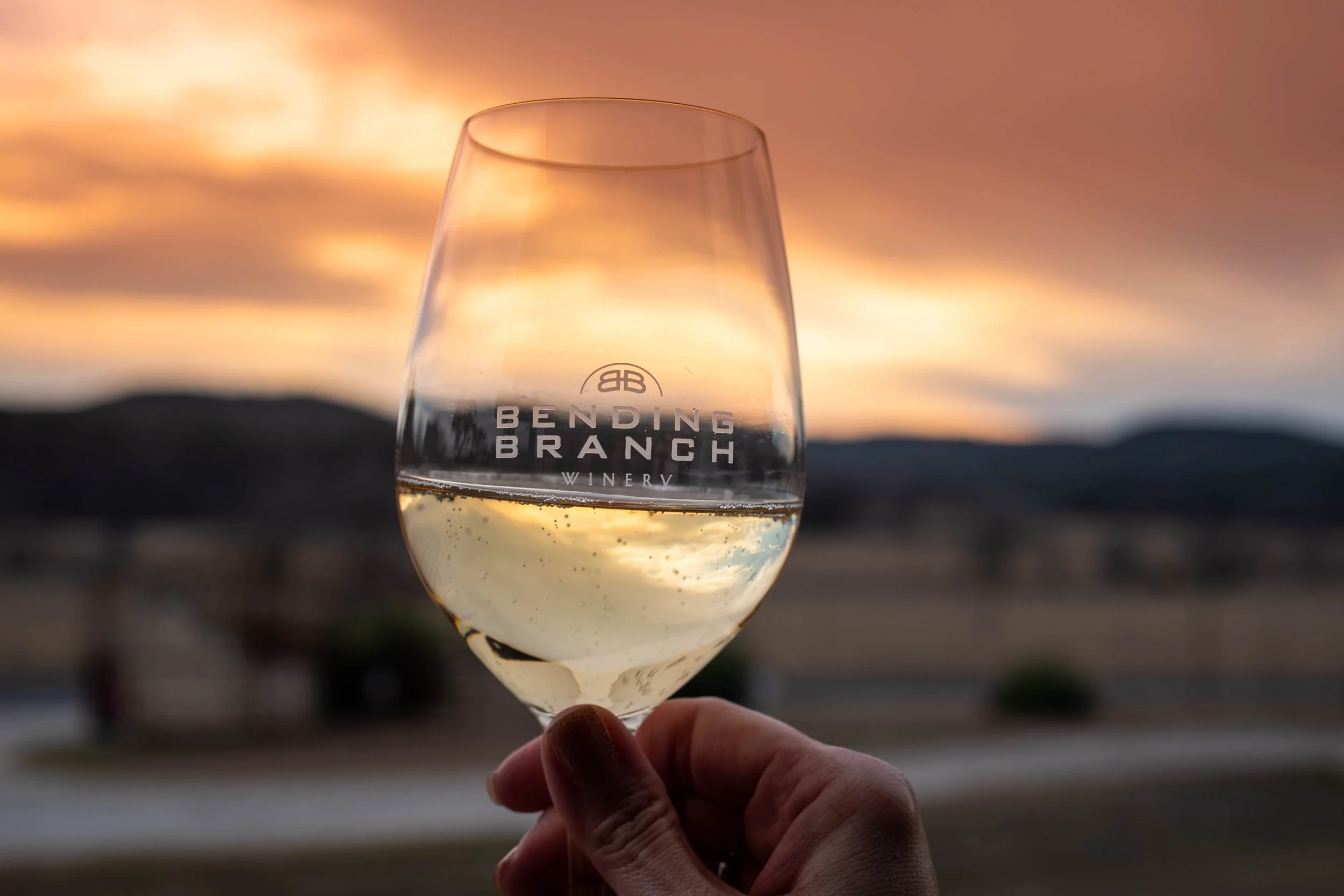 BBW Brut sunset.jpeg