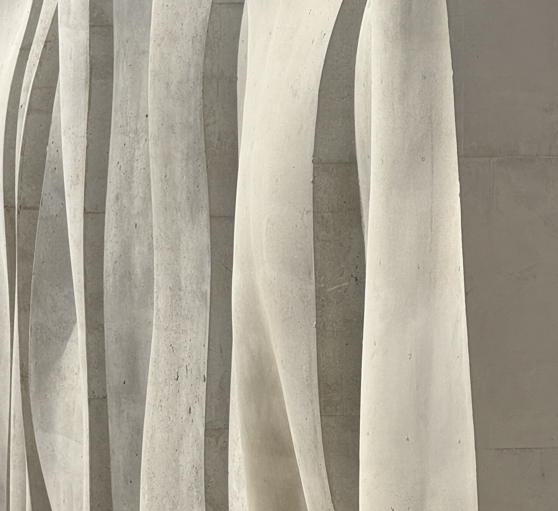 Close-up of curved, vertical architectural concrete beams or supports with a textured, light gray surface.
