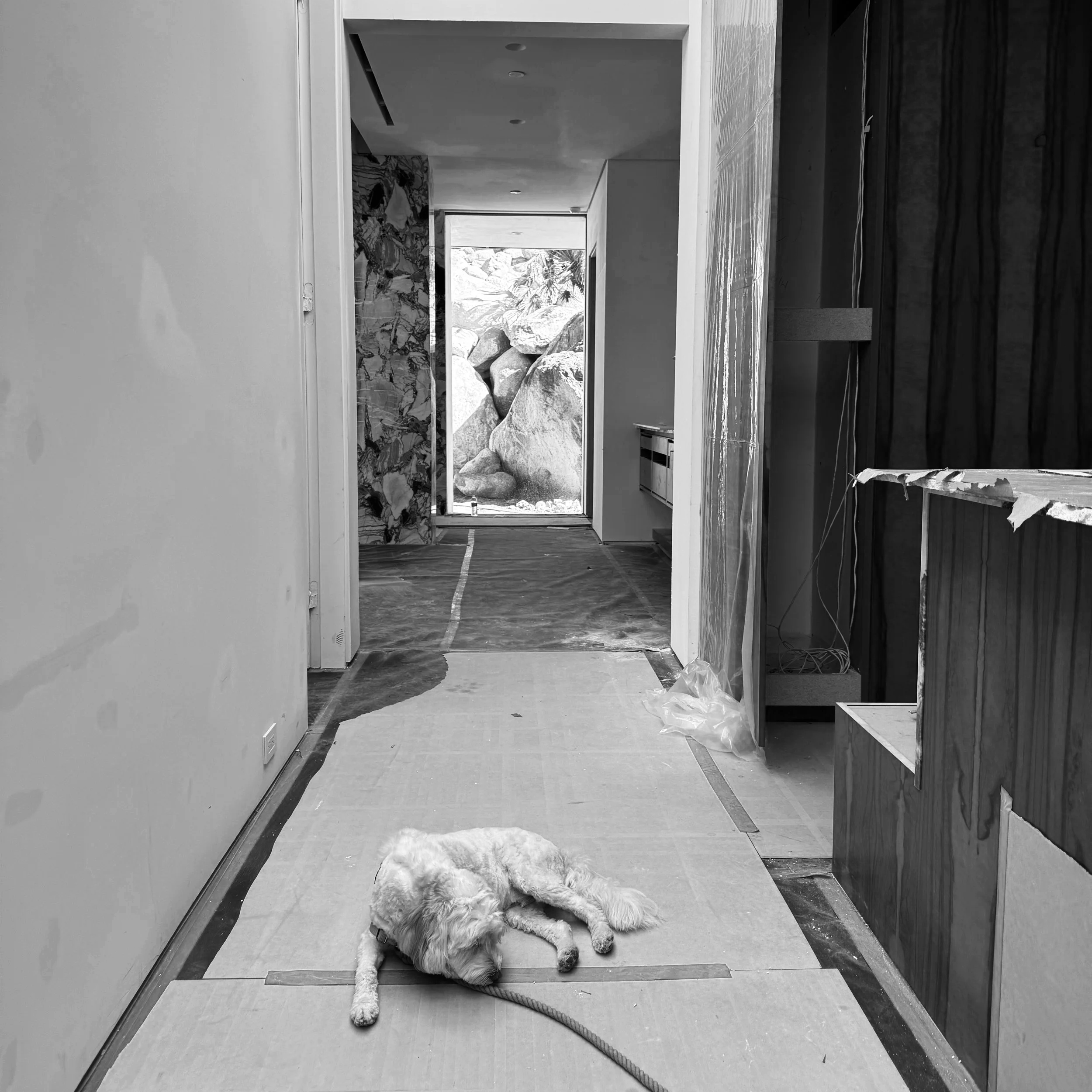 Bixby the dog lying on the floor inside a house under construction or renovation, with a doorway leading to an outdoor area with rocks and large stones.