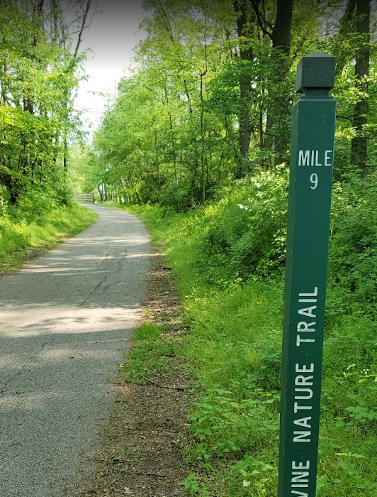 Stop in downtown at Bike and Soul to gear up or tune your bike before heading out for a ride through the region’s scenic corridors. From there, you’re just a short drive from the famous Pumpkinvine Nature Trail, a well‑maintained, multi‑use trail str