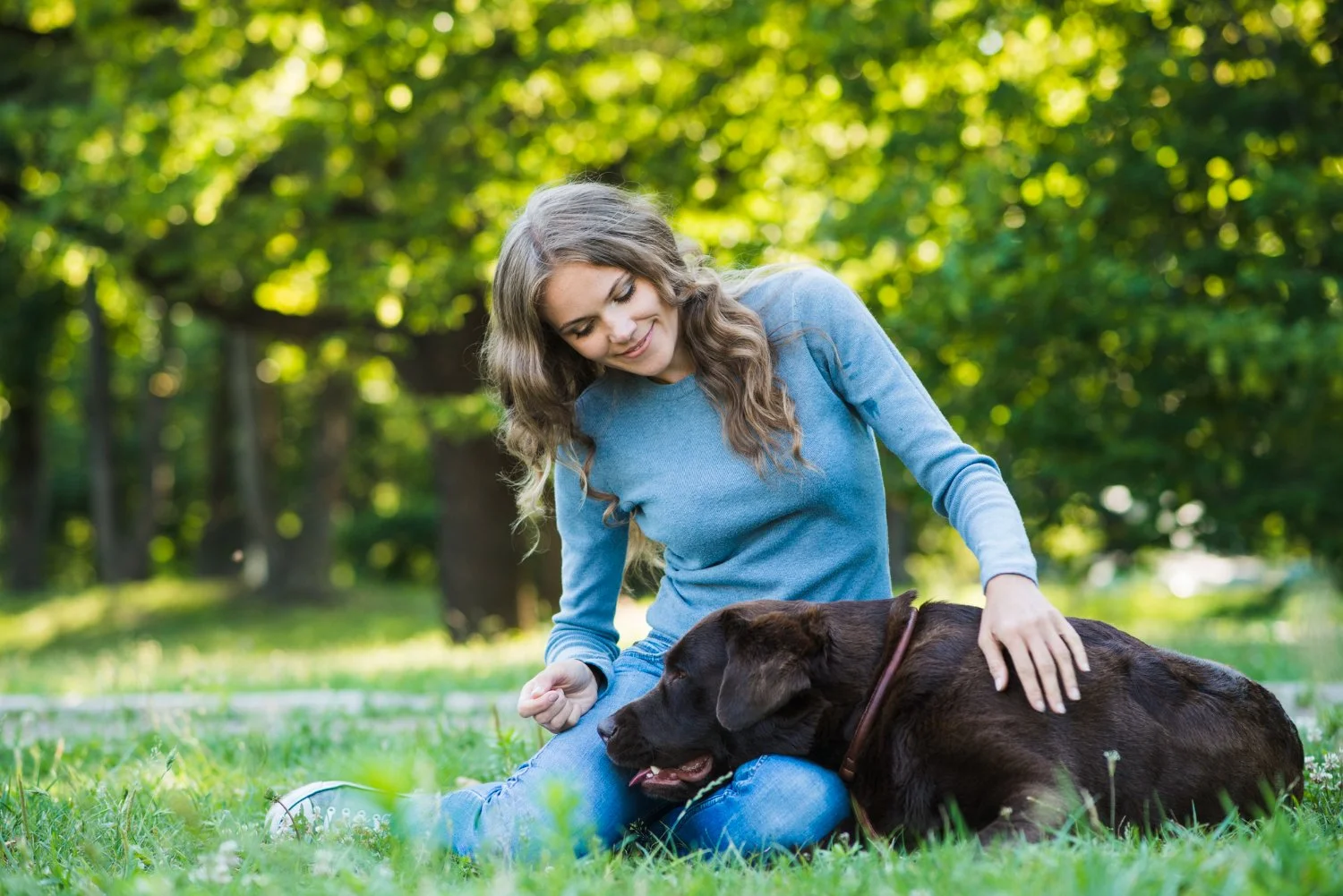 Pets Feel Energy Too: Signs Your Animal Needs Emotional Healing