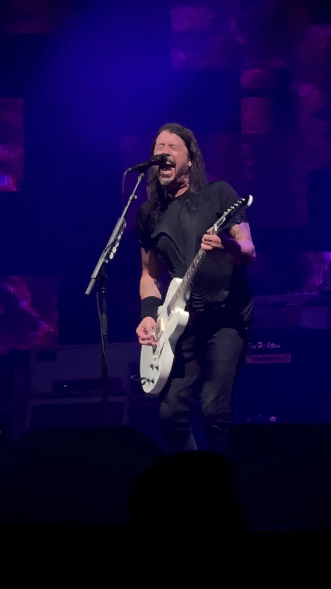 Dave Grohl - Shaky Knees Festival
Atlanta, GA 2023