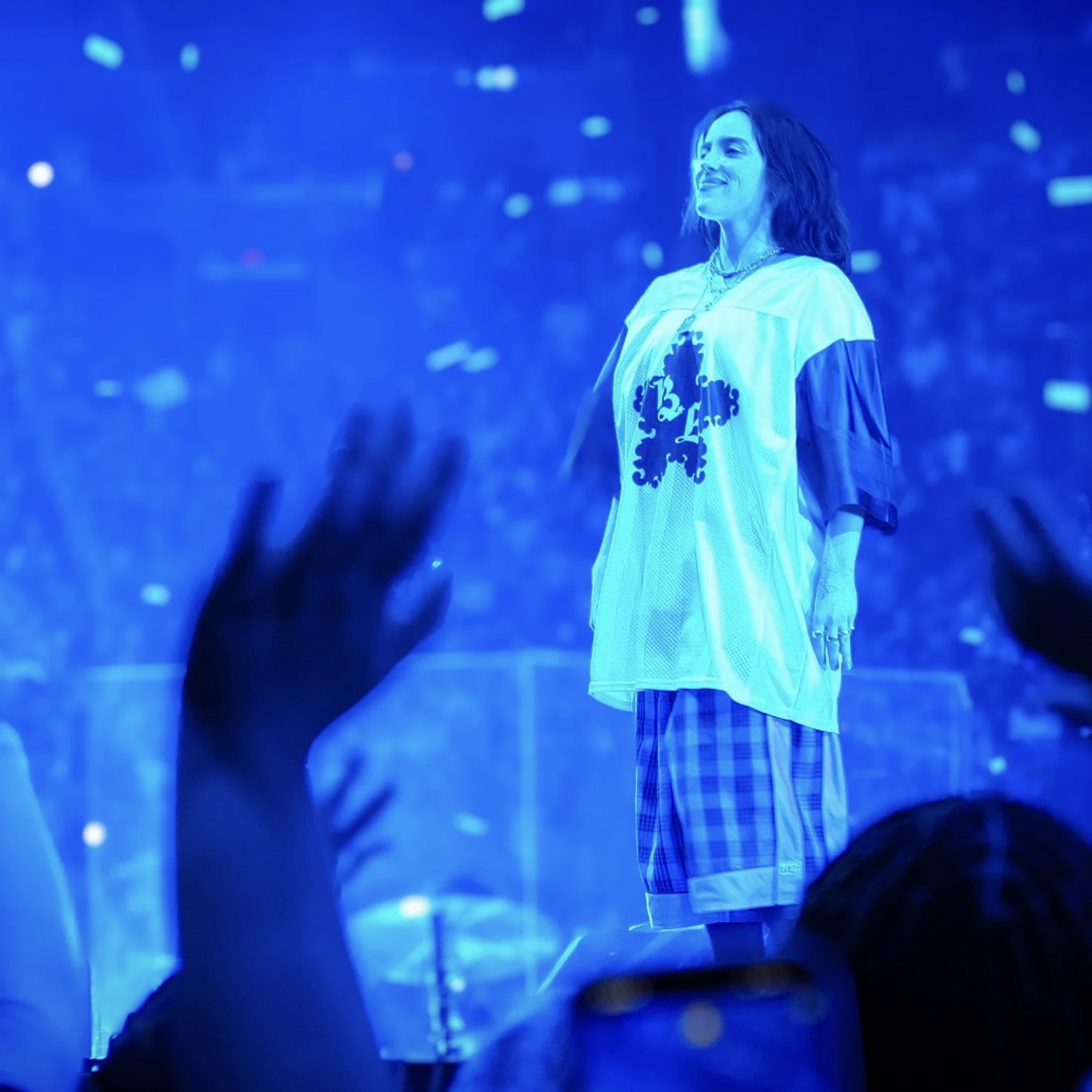 Billie Eilish - Kaseya Center
Miami, FL 2025
