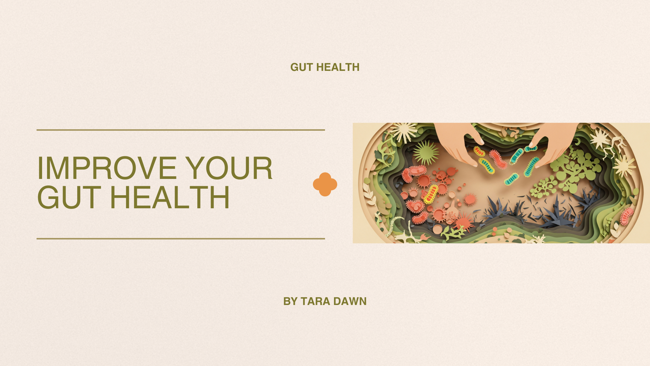 Improve Your Gut Health