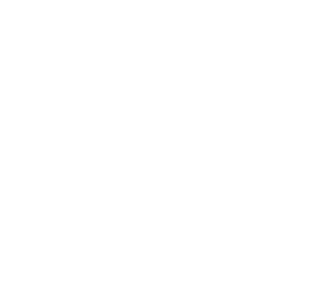 prime.png