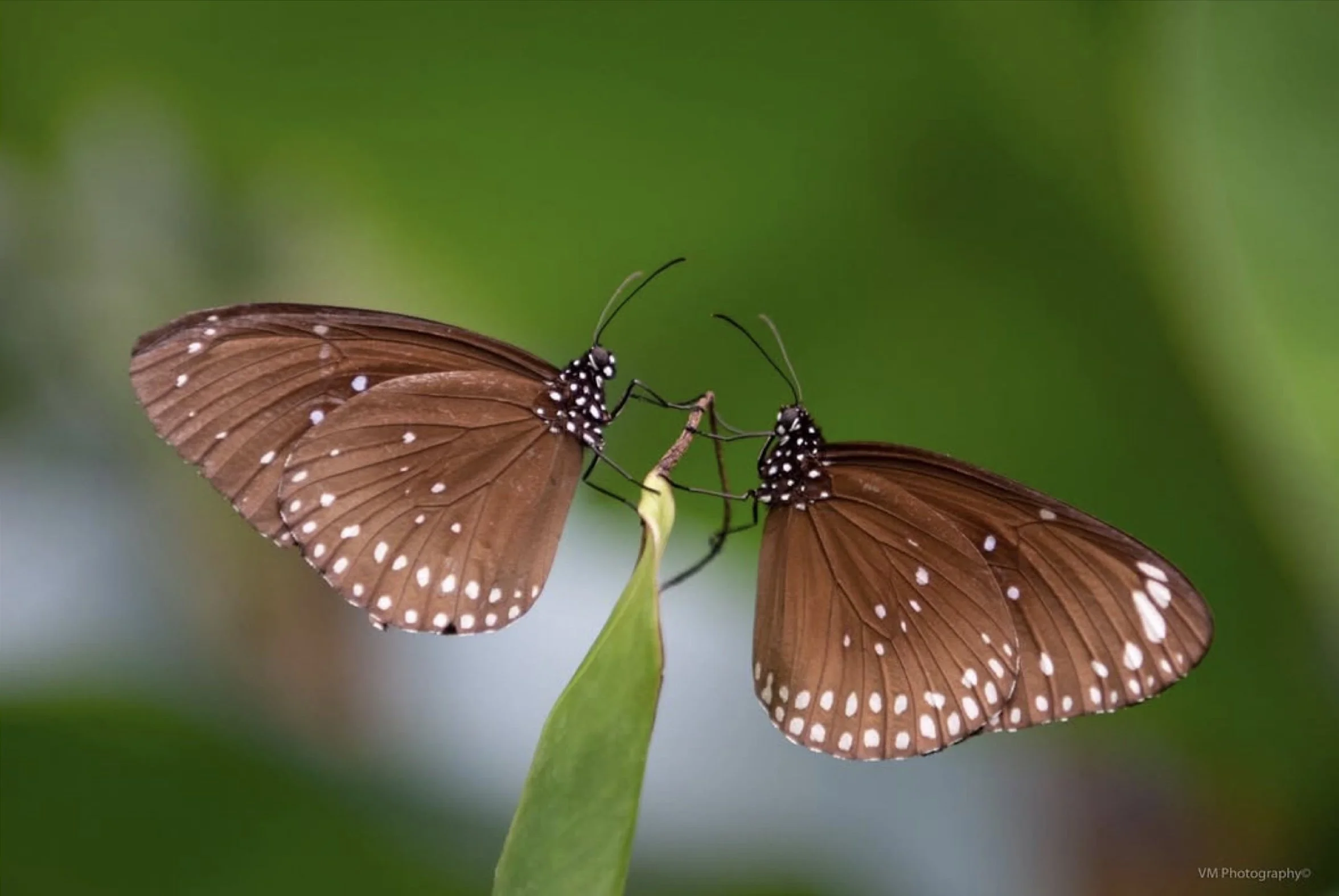 Image 11.03.2026 at 15.44.jpeg