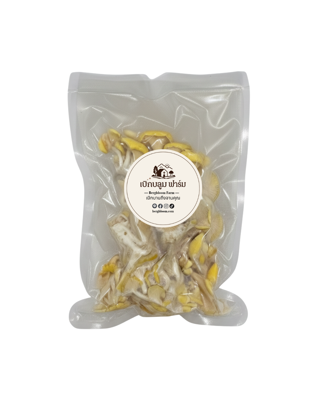 เห็ดนางรมทอง (200 กรัม) / Golden Oyster Mushroom (200 gram)