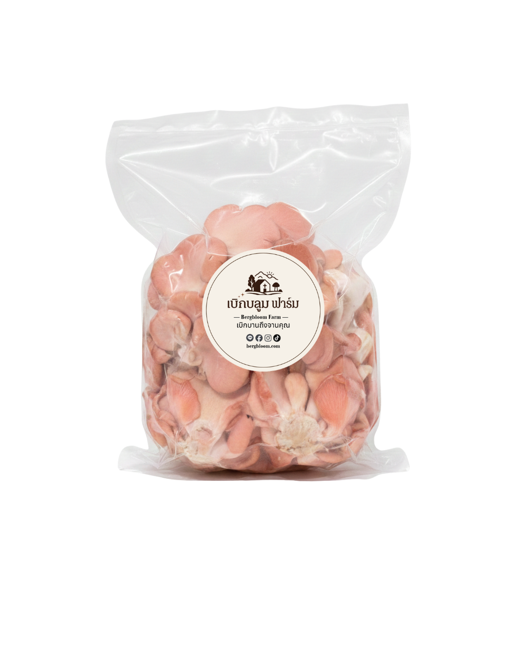 เห็ดนางนวลชมพู (200 กรัม) / Pink Oyster Mushroom (200 gram)