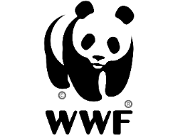 wwf logo.png