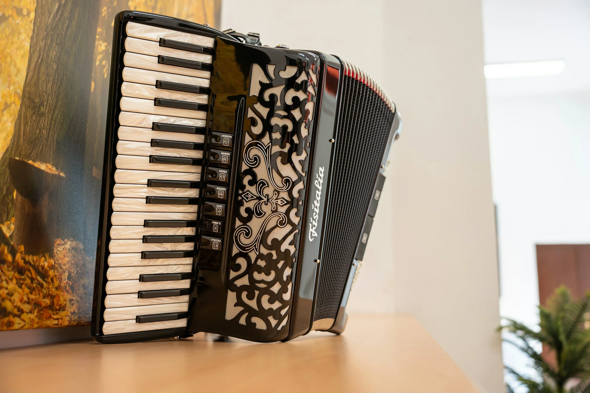 A black accordion with decorative cutouts and white keys is placed on a wooden surface near a book with a colorful cover, with a blurred interior background and natural light coming from a window.