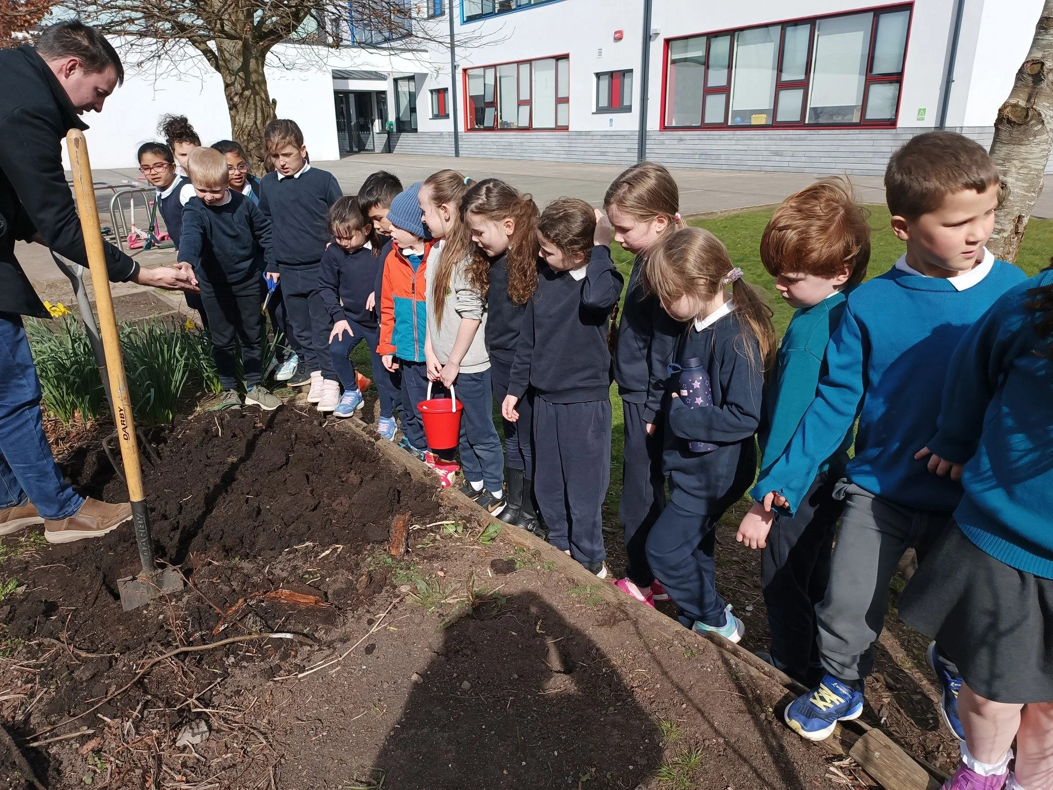 Group of children standing in a line outdoors, observing a person planting a tree or shrub in the ground.
