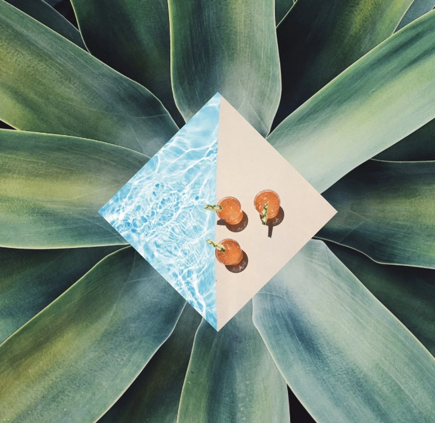 Artistic overhead view of agave plant surrounding diamond-shaped tile with oranges, representing Arizona desert aesthetic and local Phoenix cleaning company