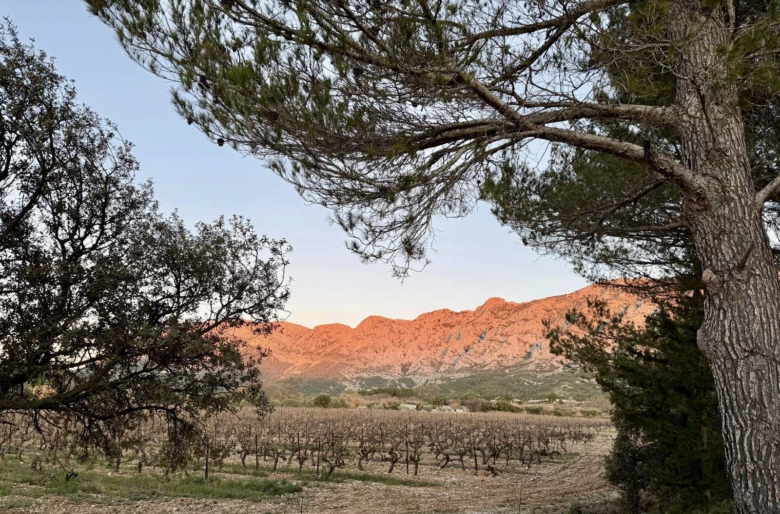 5ecae393-871f-4384-ba3e-06de9a90e95a (1).jpg