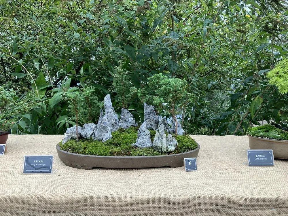 Susquehanna Bonsai Club