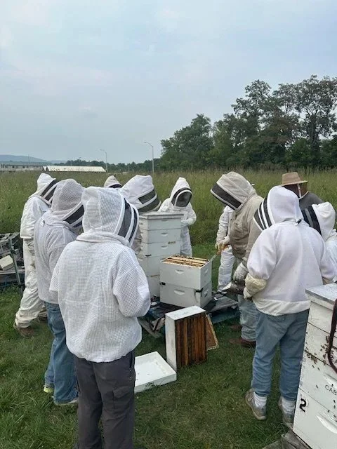 Capital Area Beekeepers Association (CABA)